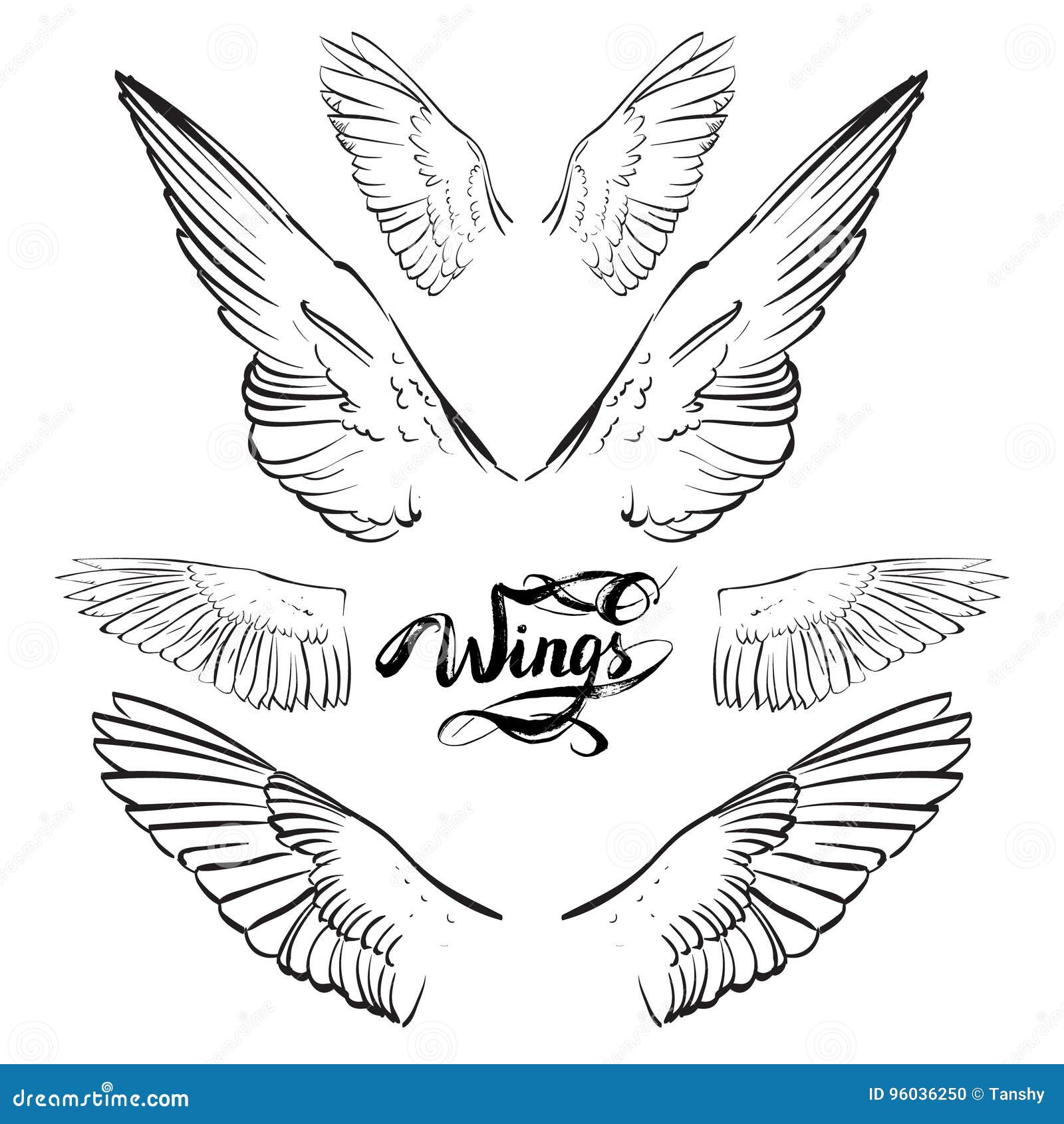 Alas Del ángel, Letras, Vector Del Dibujo Ilustración del Vector -  Ilustración de estilo, paloma: 96036250