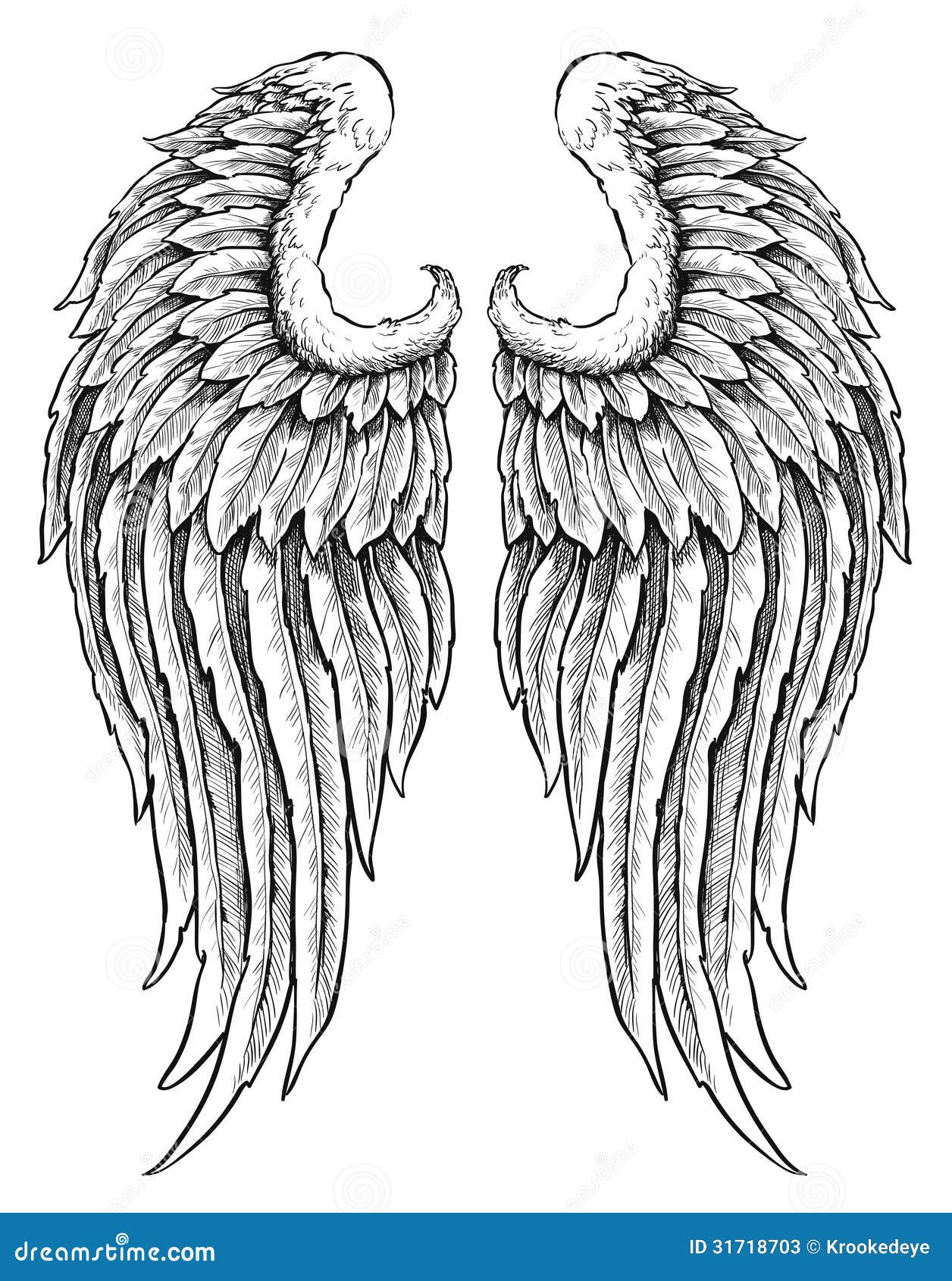 Alas Dibujadas Mano Del ángel Ilustración del Vector - Ilustración de  paloma, imagen: 31718703