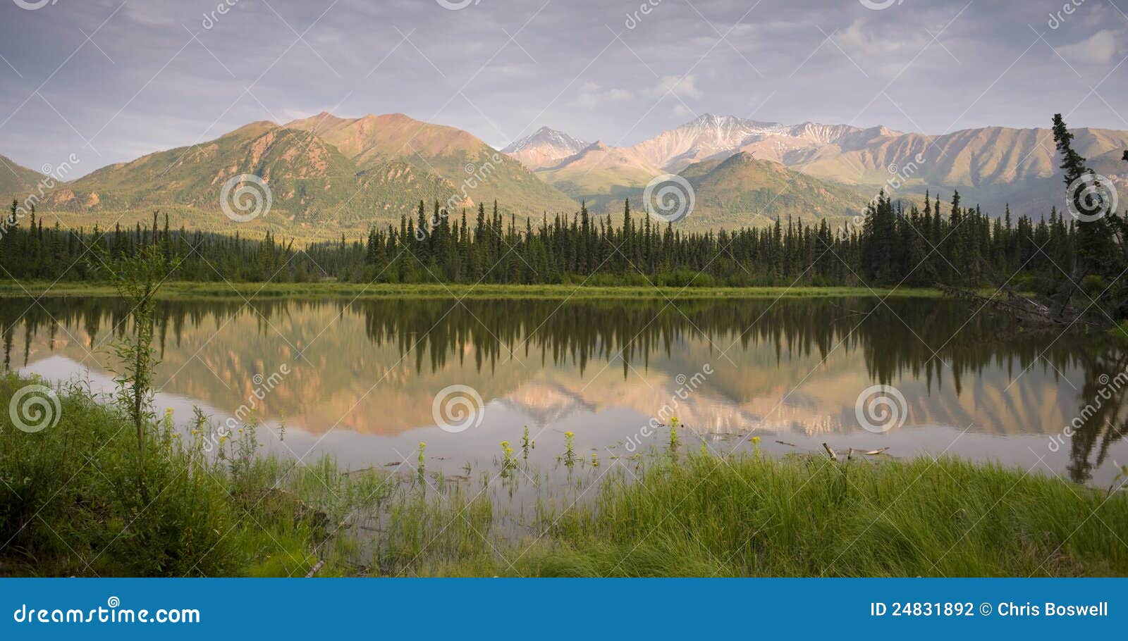 Marsh Reflection Amidst Mountains Route 1 Alaska Stock Photo Image of