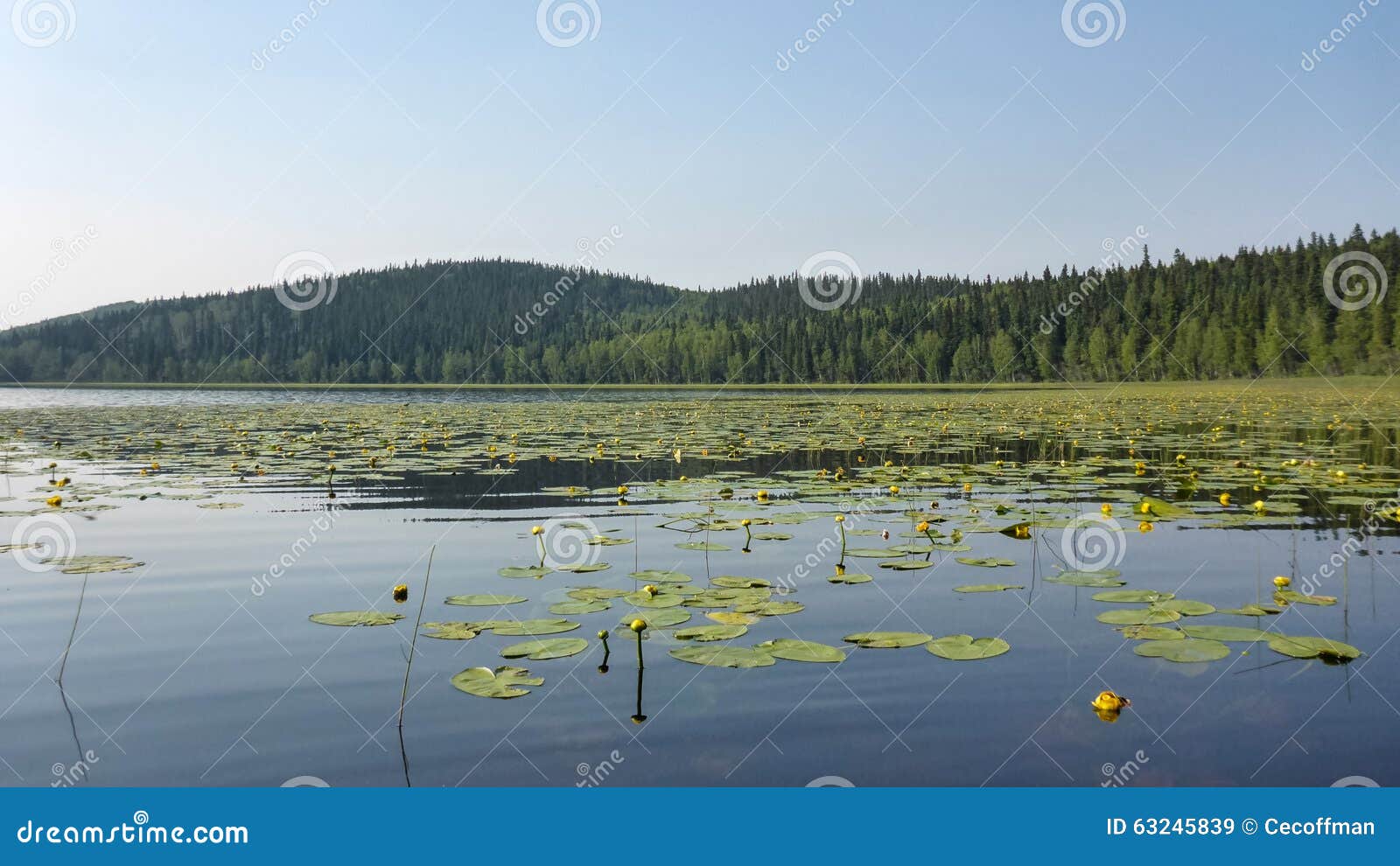 Alaska s Lost Lake stock image. Image of vacation, junction 63245839
