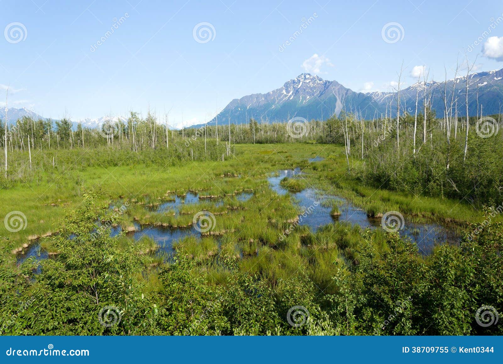 Alaska in summer stock image. Image of pioneer, glenn 38709755