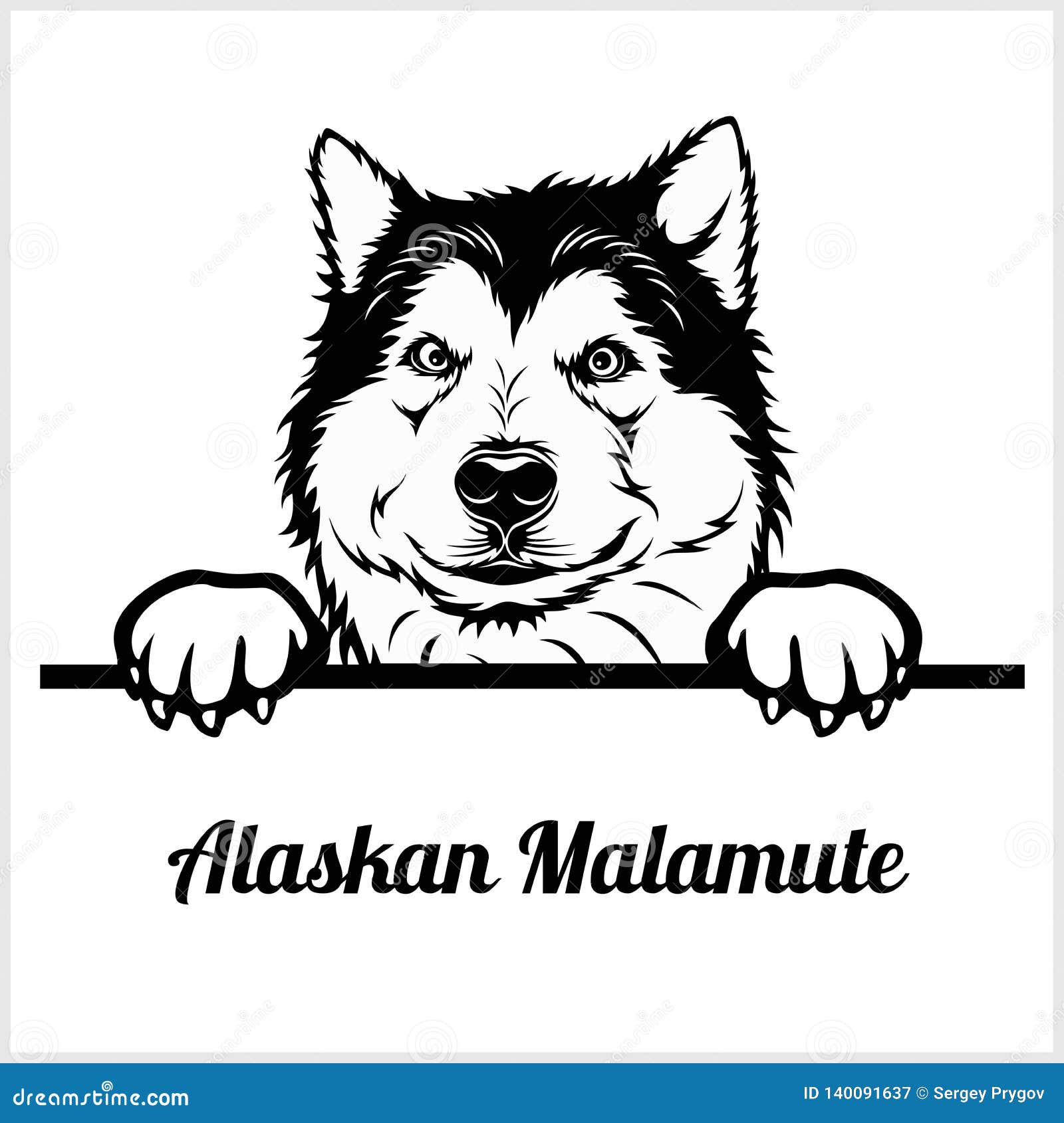 Alaskan Malamute - Peeking Dogs - Breed Face Head Isolated on White