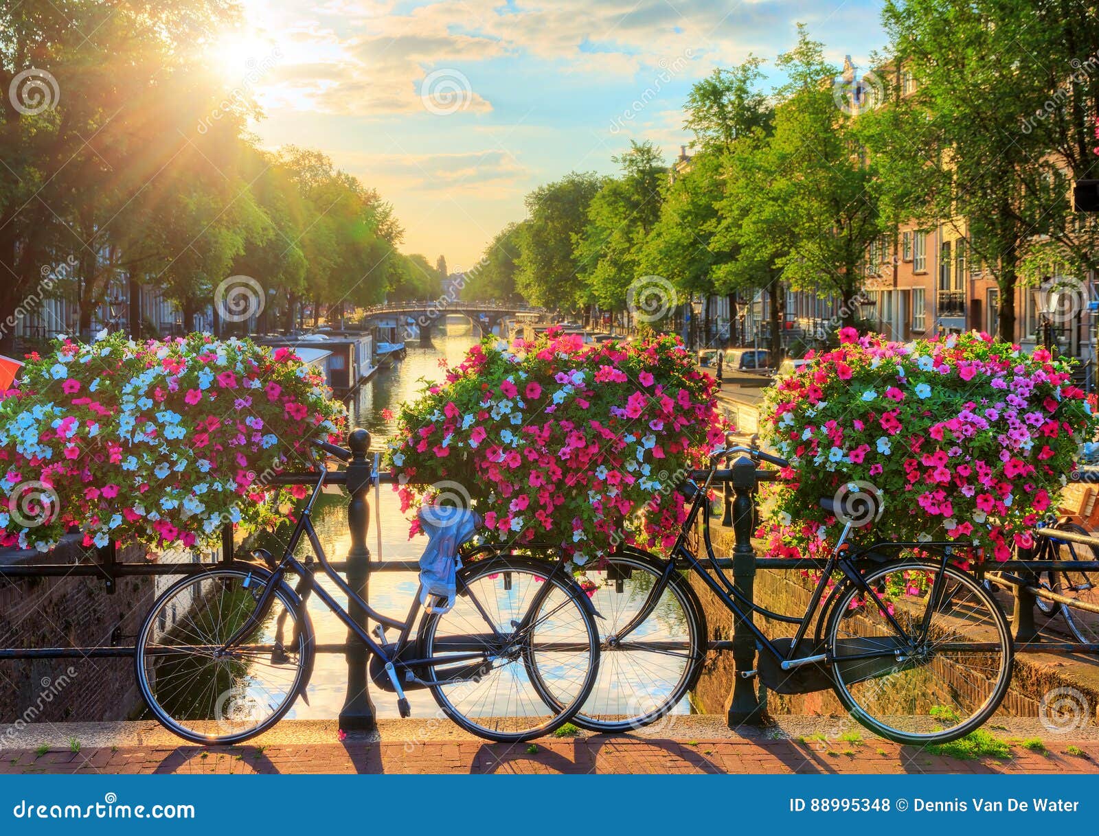 Alba II di estate di Amsterdam. Bella alba di estate sui canali famosi del patrimonio mondiale dell'Unesco di Amsterdam, dei Paesi Bassi, con i fiori e le biciclette vibranti su un ponte