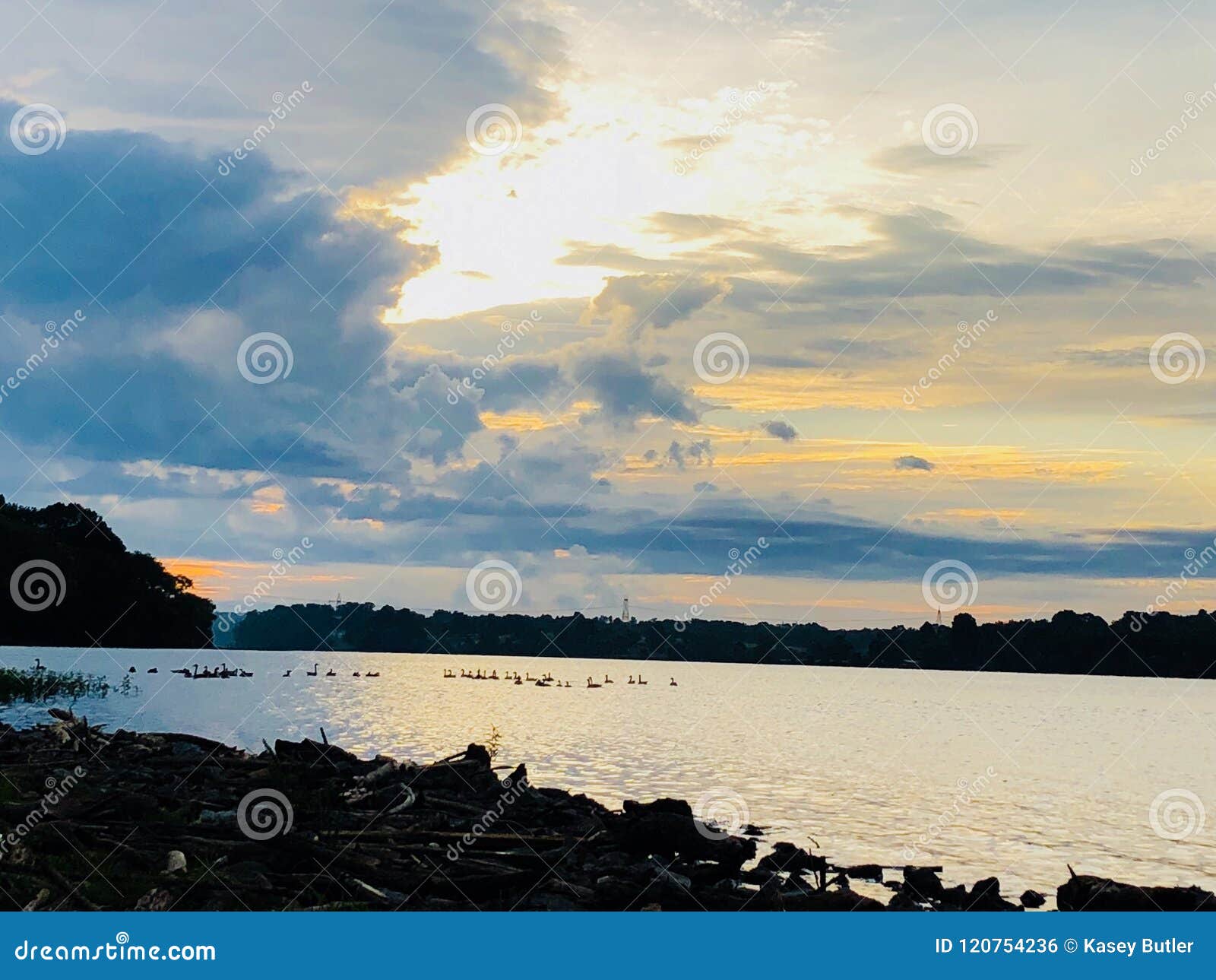 Alba sul lago. Bella alba sopra un lago pacifico con le oche che nuotano