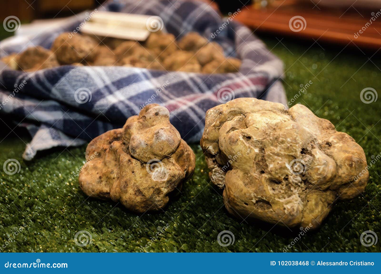 alba white truffles at the fiera del tartufo