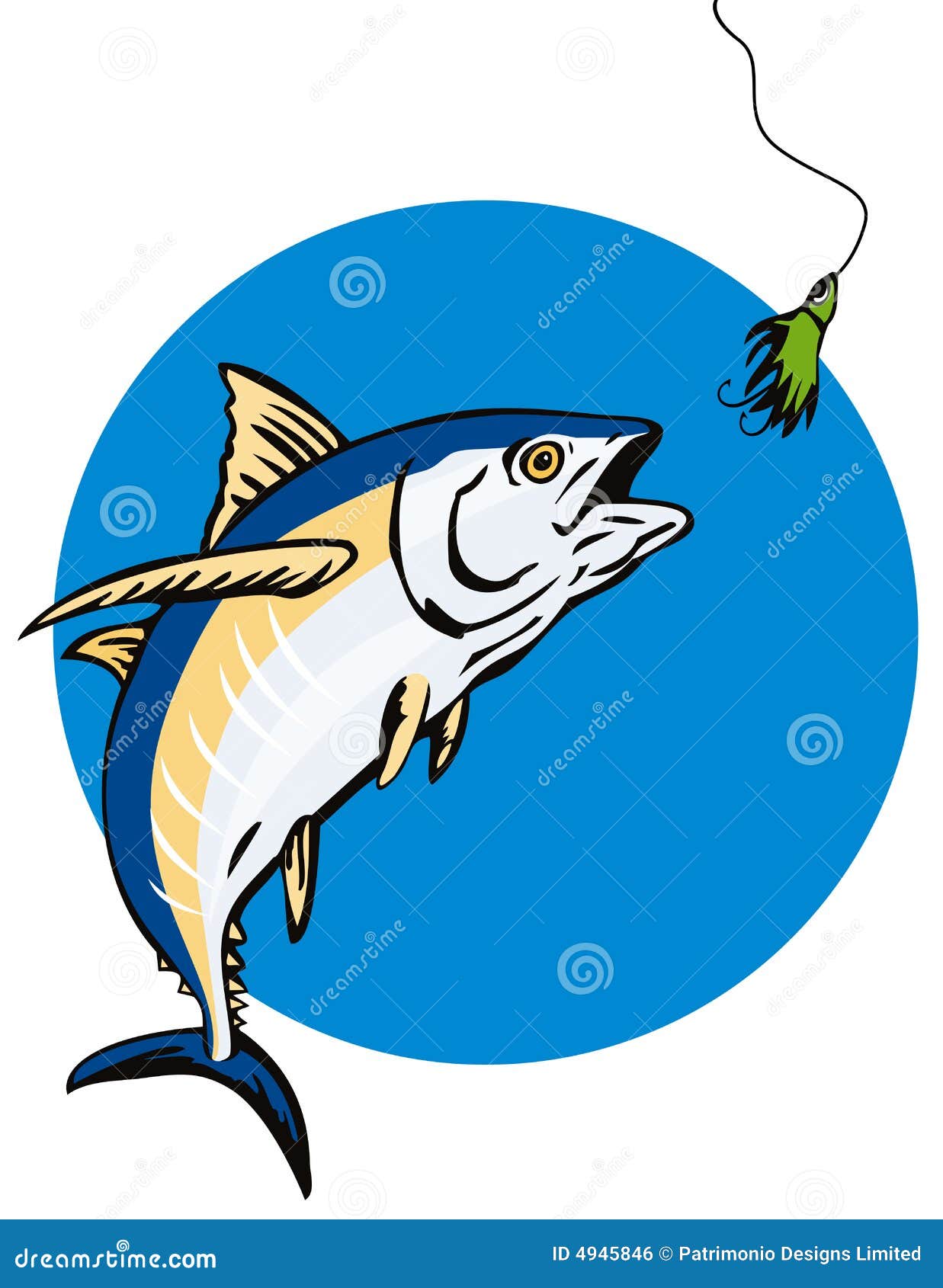 albacore tuna taking the bait