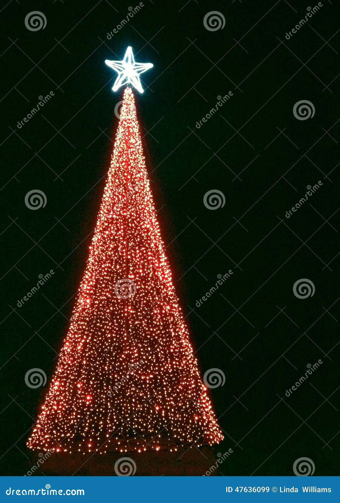 Stella Luminosa Per Albero Di Natale.Albero Di Natale Con Le Luci Rosse E La Stella Luminosa Immagine Stock Immagine Di Covering Nero 47636099