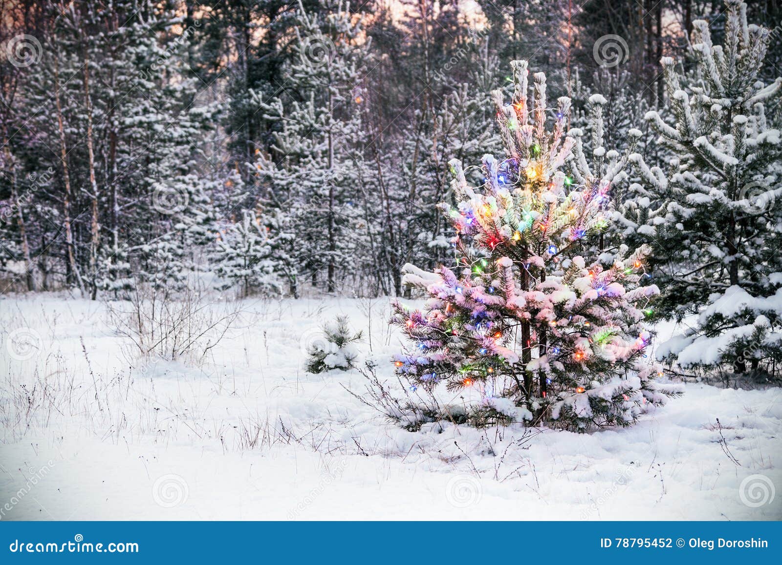 Foto Di Inverno Natale.Albero Di Natale Nella Foresta Di Inverno Con Le Luci Colorate Fotografia Stock Immagine Di Bello Paesaggio 78795452