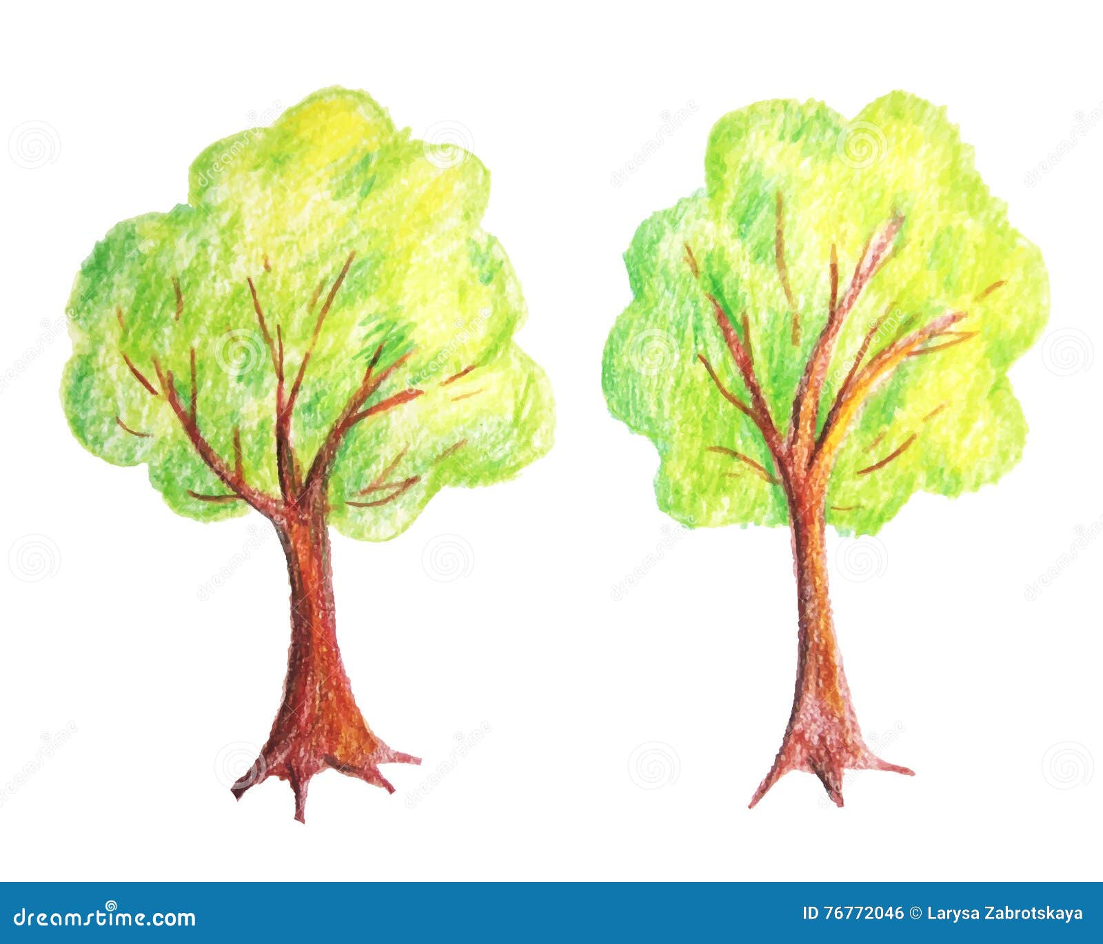 Albero disegnato dalle matite di colore