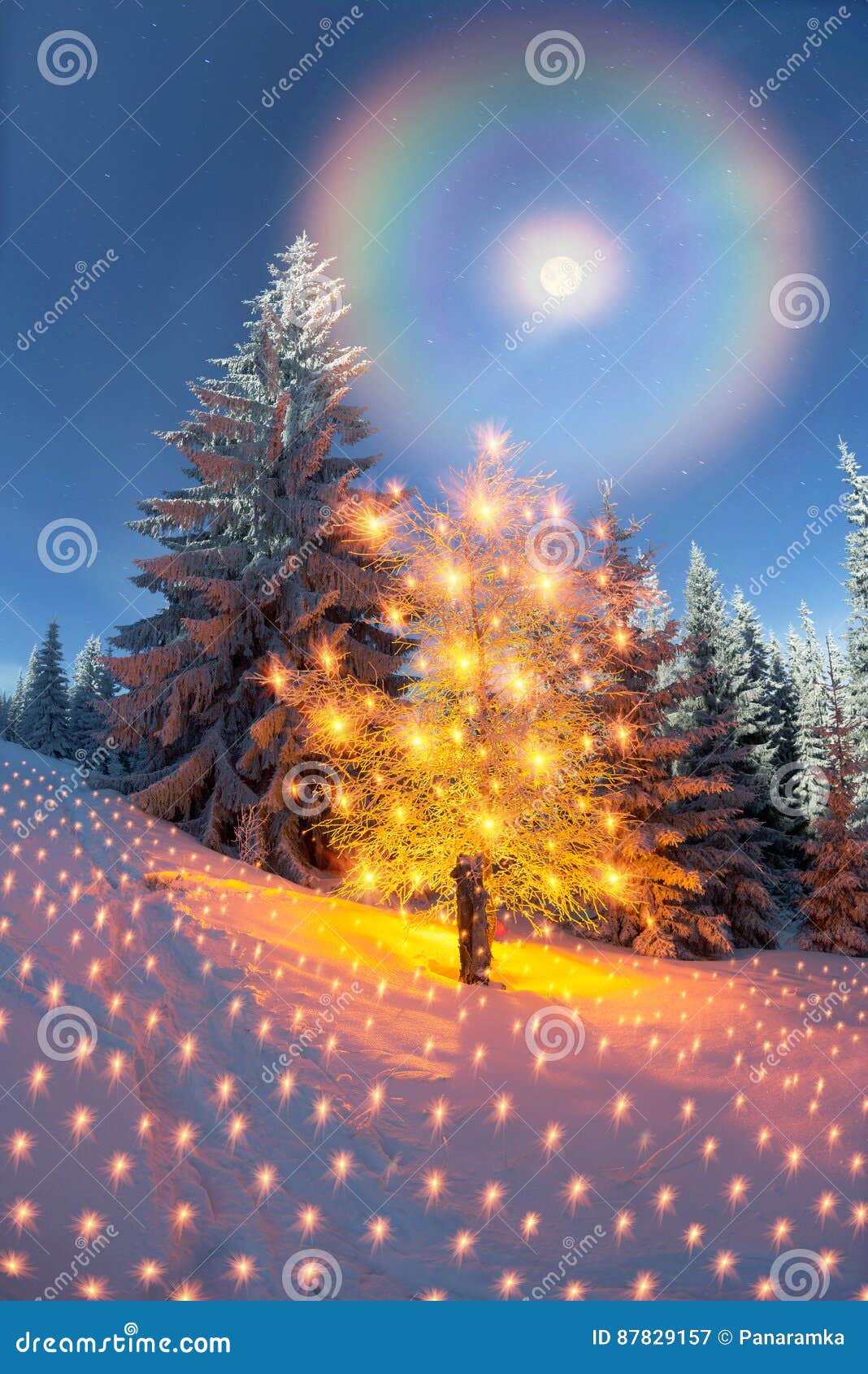 Immagini Sul Natale.Albero Magico Sul Natale Immagine Stock Immagine Di Festive 87829157