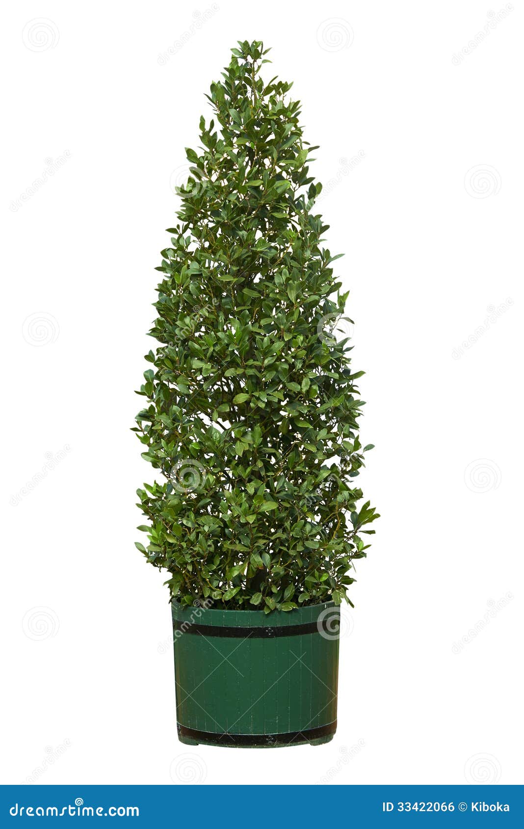 PENTOLE PER CHITARRA Push Pull Albero Diviso Madre Di Montaggio Parti Rondella EUR 10,97 - Foto 5
