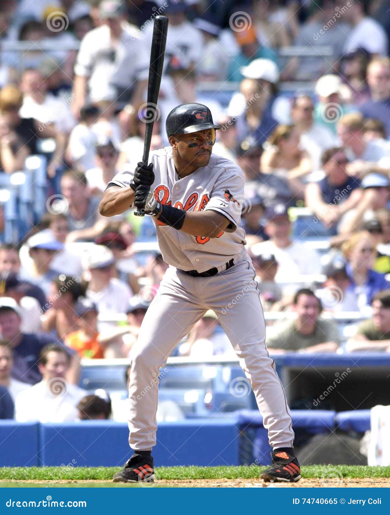 albert belle bat