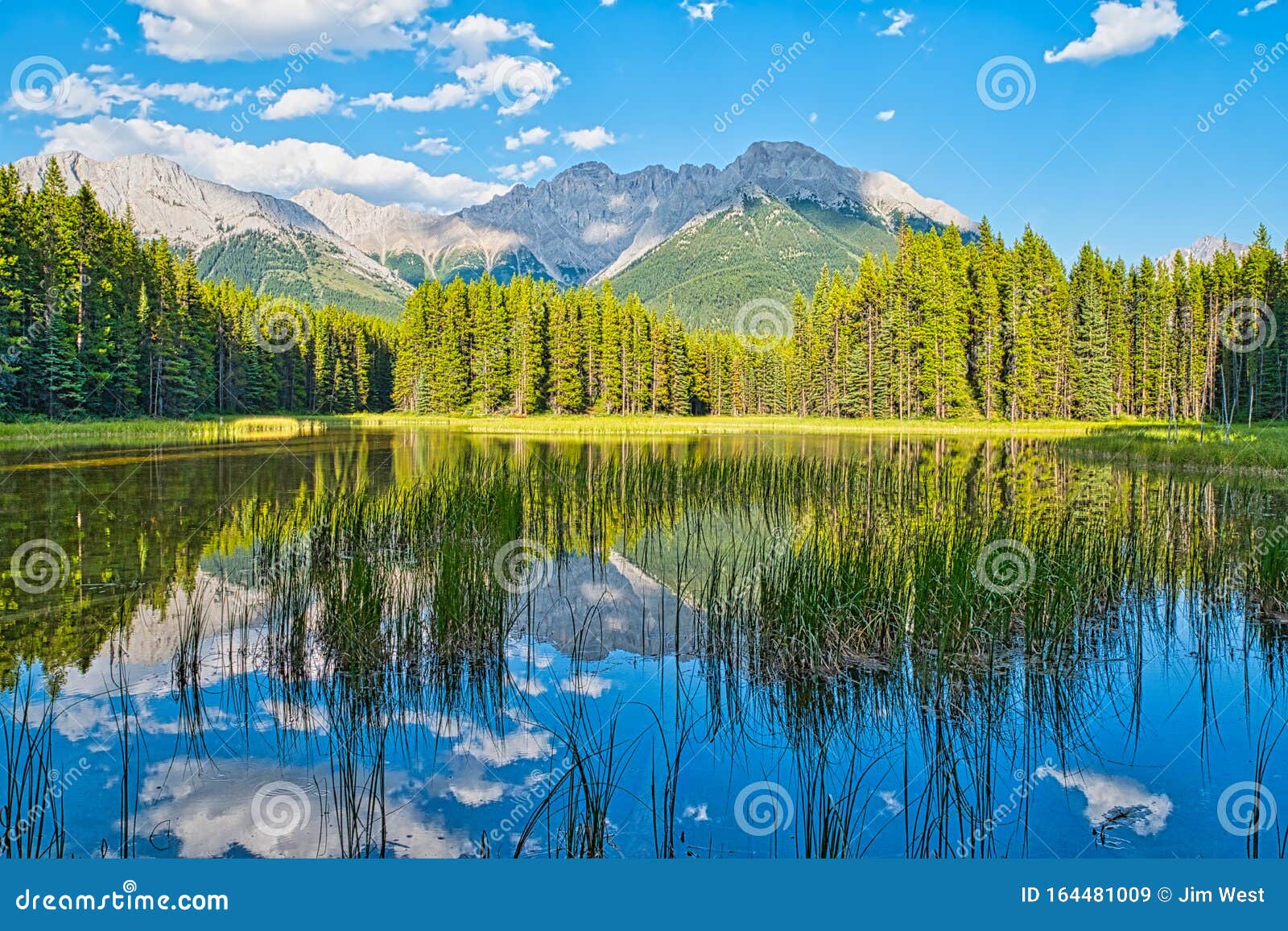 Alberta Rocky Mountain Parks Stock Image Image of outdoors, canada