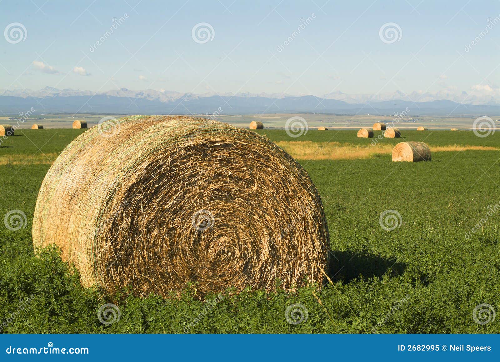 Alberta тюкует горы f. горы встречи сена поля хуторянин bales приближают к praries где