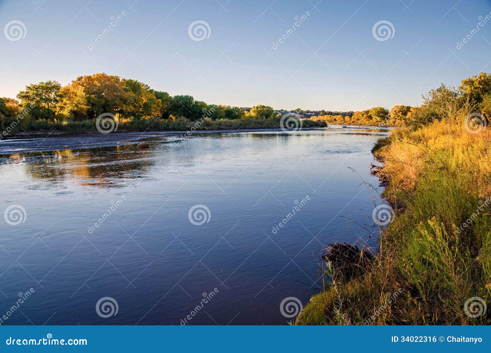 albuquerque bosque