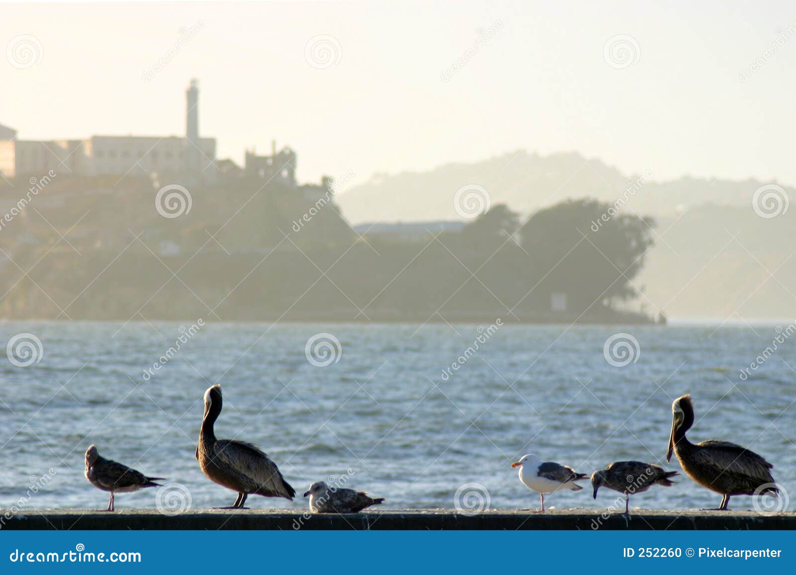 Alcatraz prison in San Francisco California.