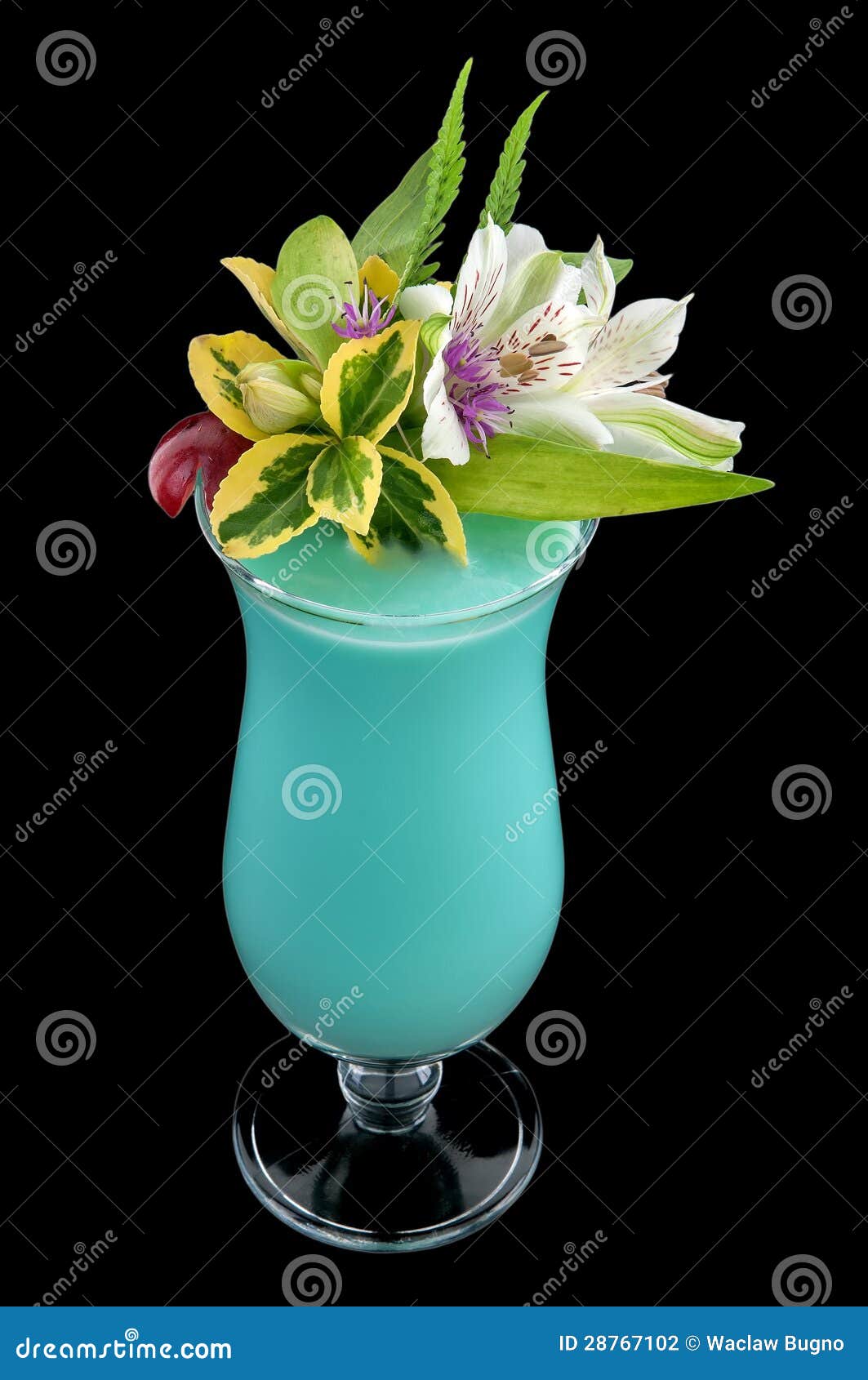 Alcohol Drink, Cocktail with Flower, Stock Photo Image of alcohol