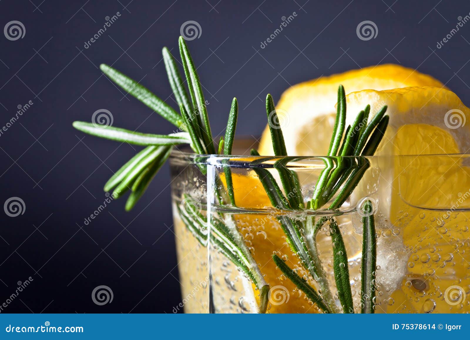 Alcoholic Drink with Lemon and Rosemary Stock Photo Image of juice