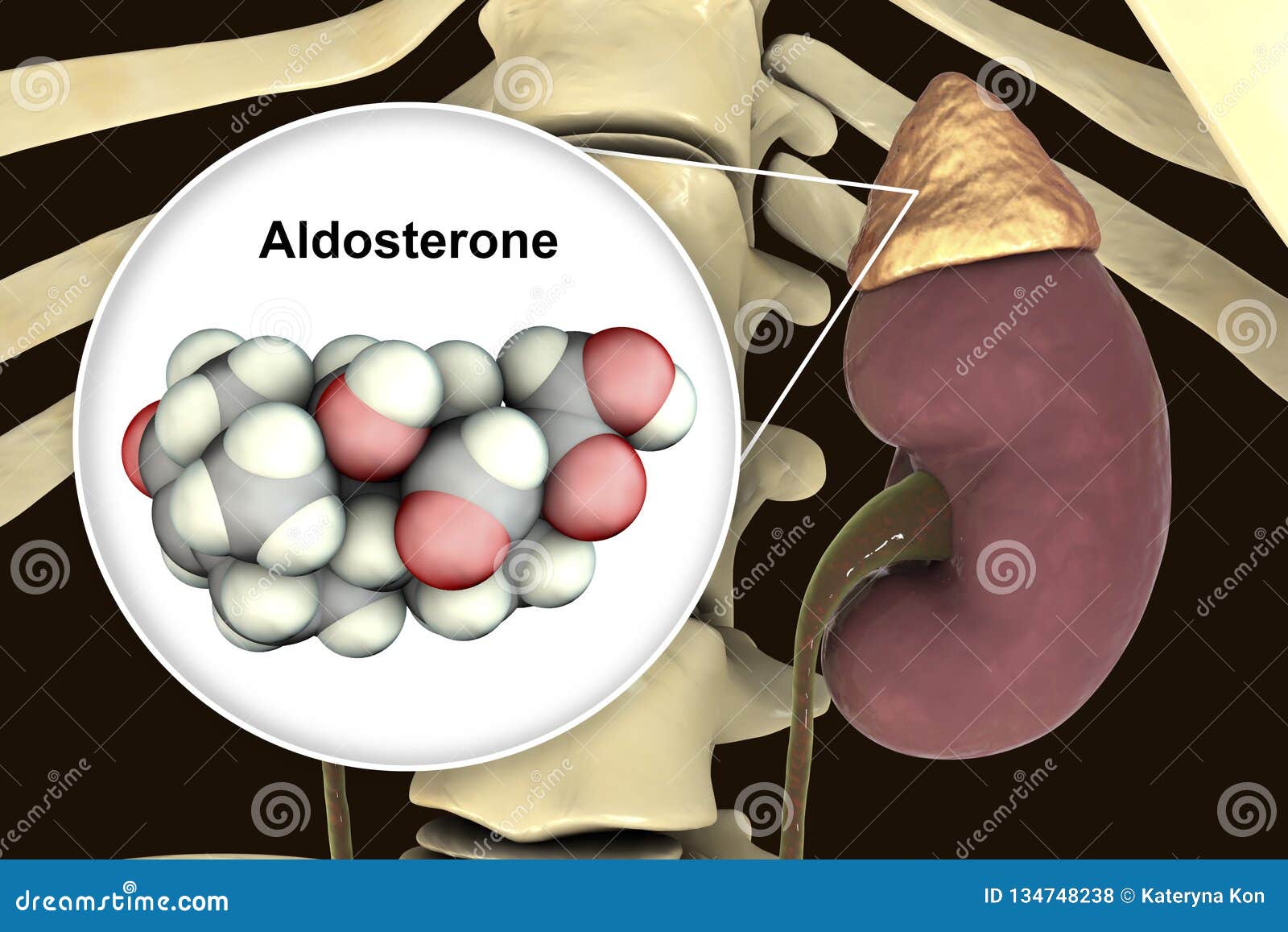 hormones produced by adrenal gland hormones produced by adrenal gland