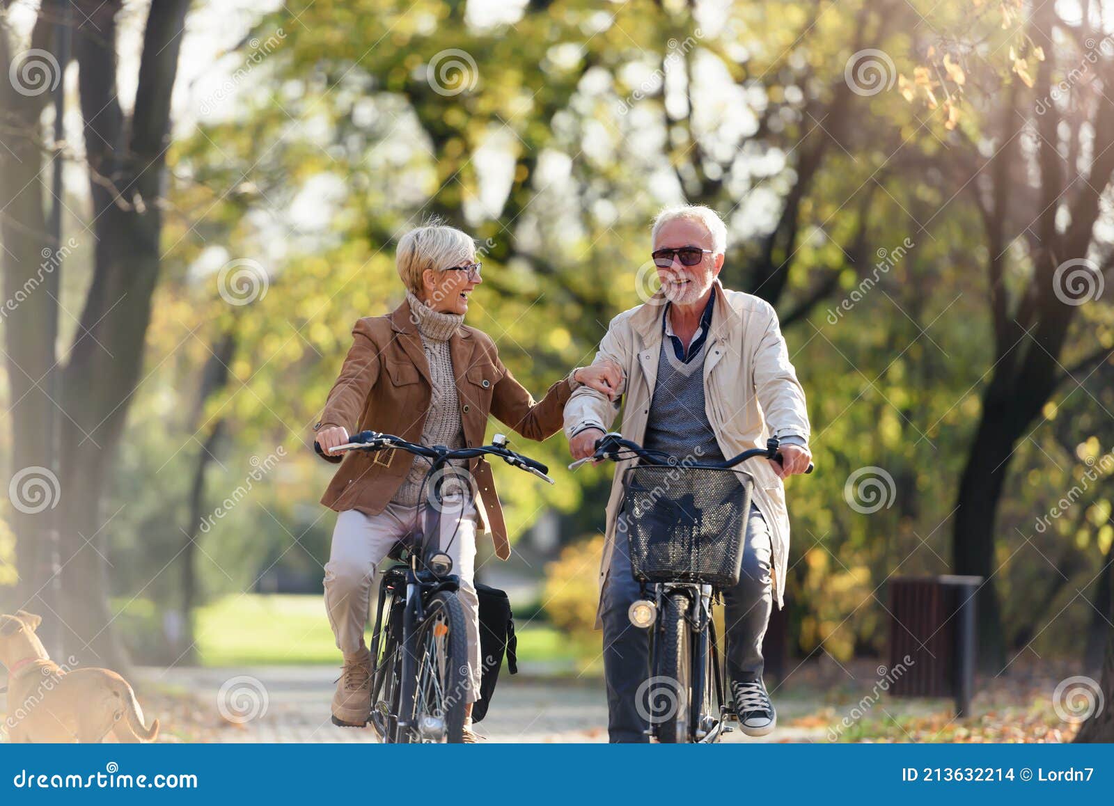 Alegres Hombres Mayores En Una Bicicleta Tándem Imagen de archivo