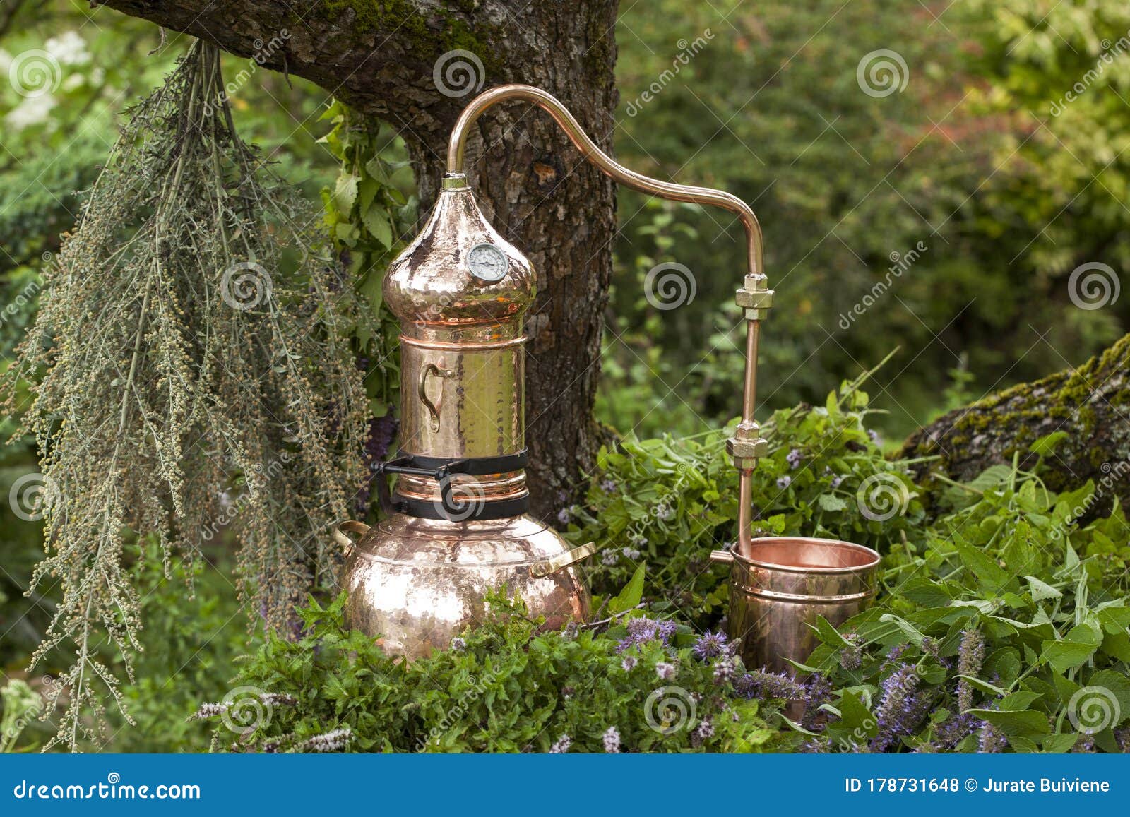 alembic is a distilling apparatus