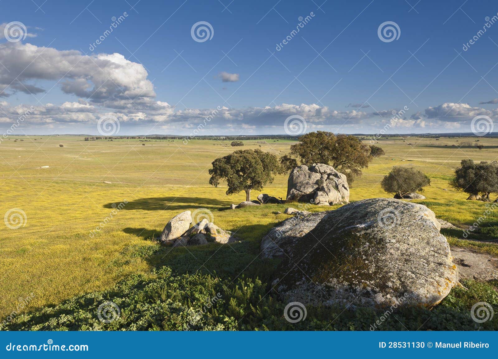 alentejo landscape