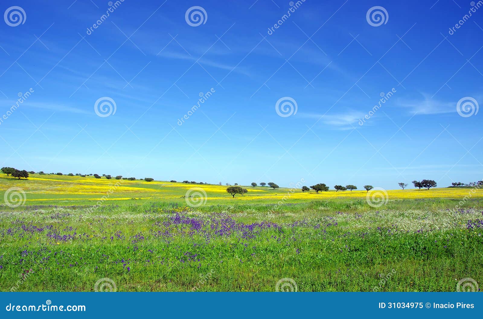 alentejo at spring time