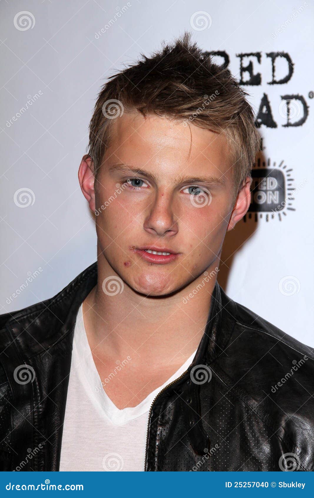 Alexander Ludwig