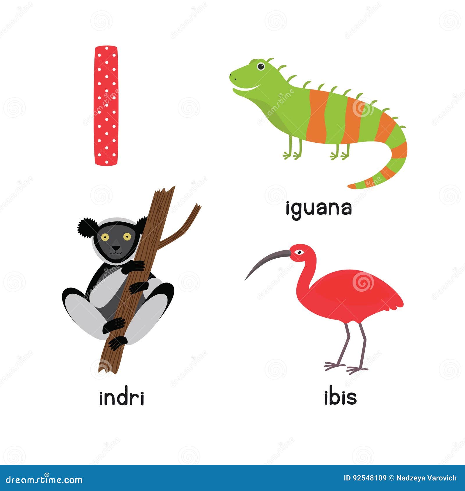 Alfabeto Animal Lindo Del Parque Zoológico Letra I Para La Iguana, Ibis,  Indri Stock de ilustración - Ilustración de cartas, inglés: 92548109