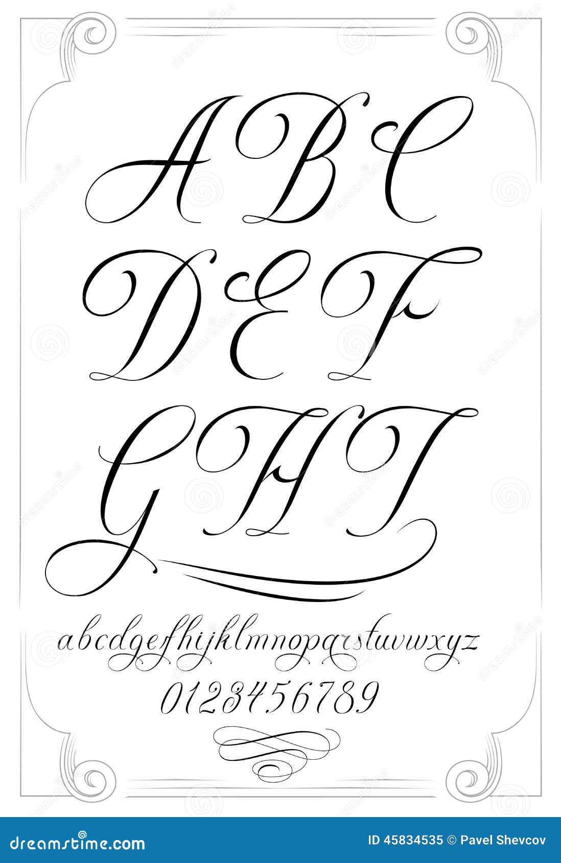 Venetian Tattoo Gathering : Tattoos : Misc : skull and cherry blossoms, image size:1098x1690