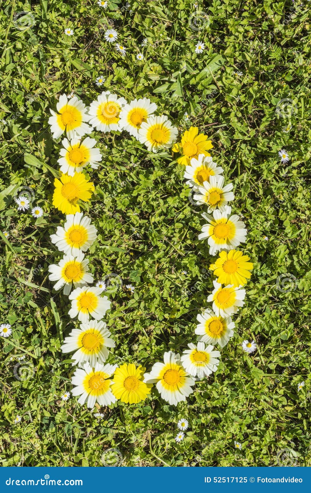 Alfabeto Da Flor Da Letra D Imagem de Stock - Imagem de flor, prado:  52517125