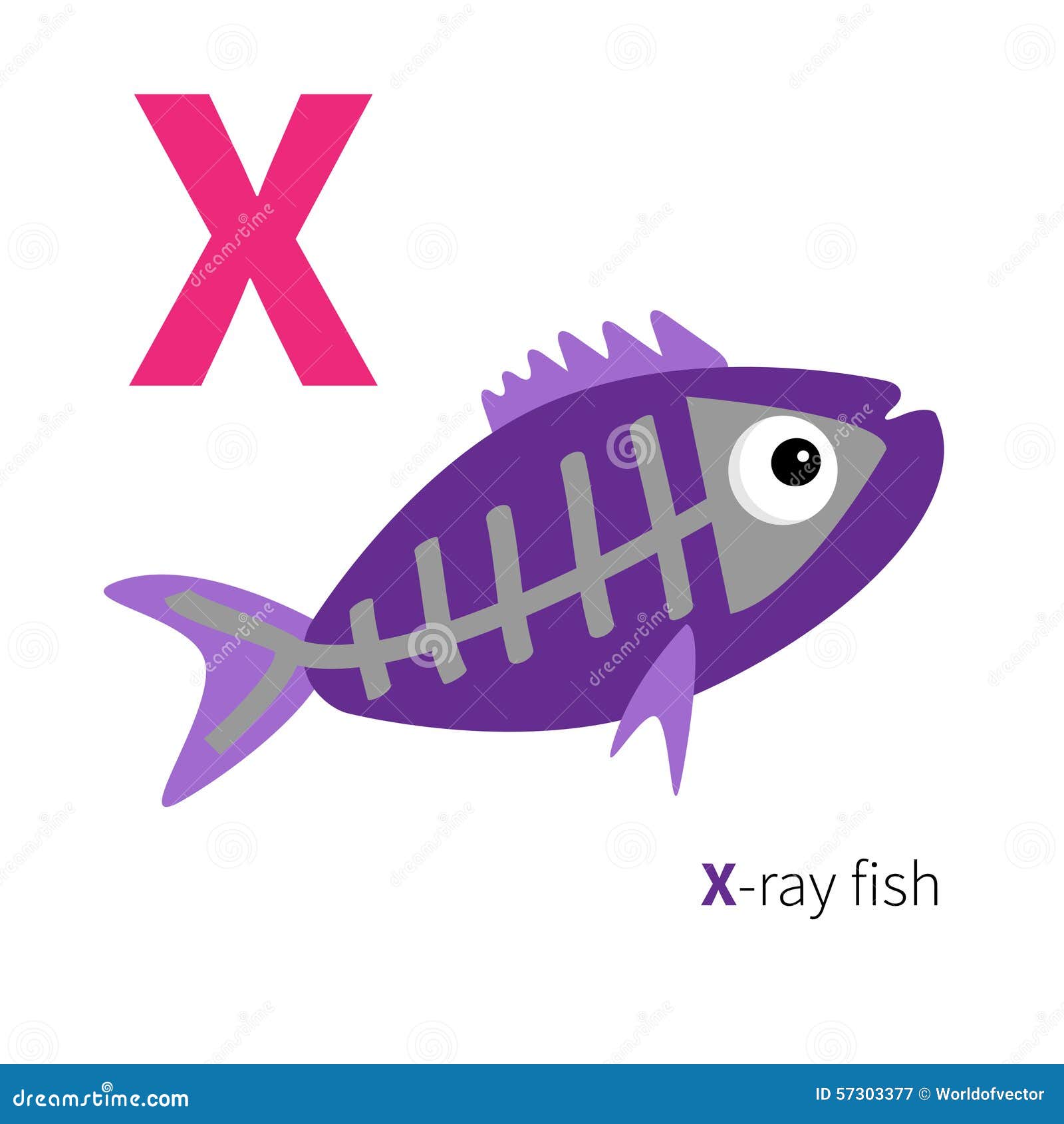 Alfabeto dello zoo del pesce dei raggi x della lettera X ABC inglese con le carte di istruzione degli animali per pro tazione p Libera da Diritti