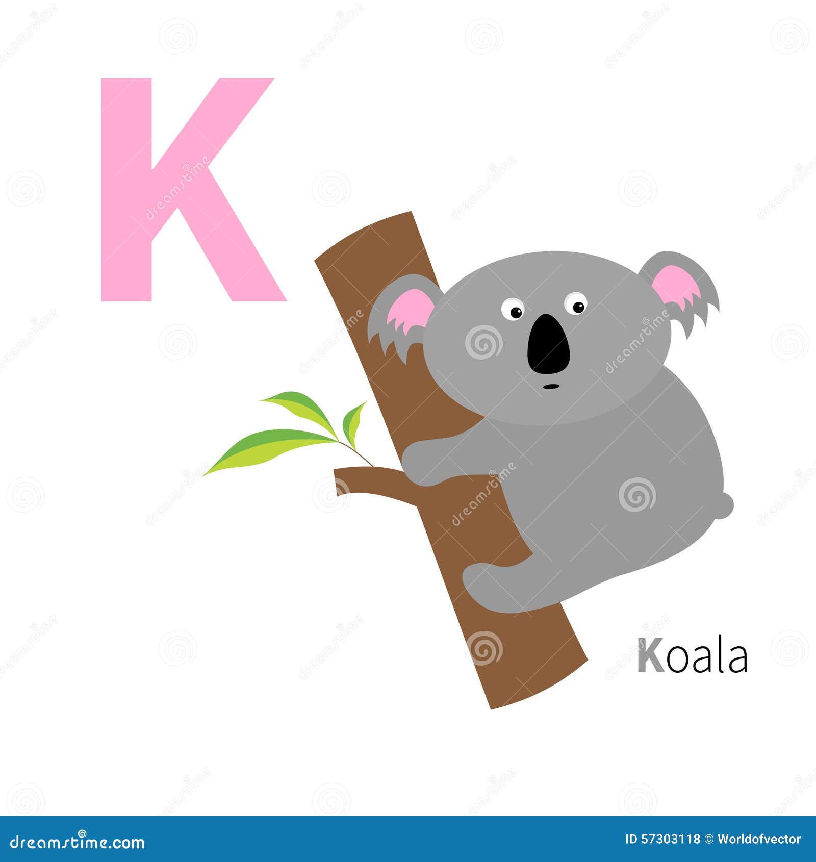 Alfabeto dello zoo della koala della lettera K ABC inglese con le carte di istruzione degli