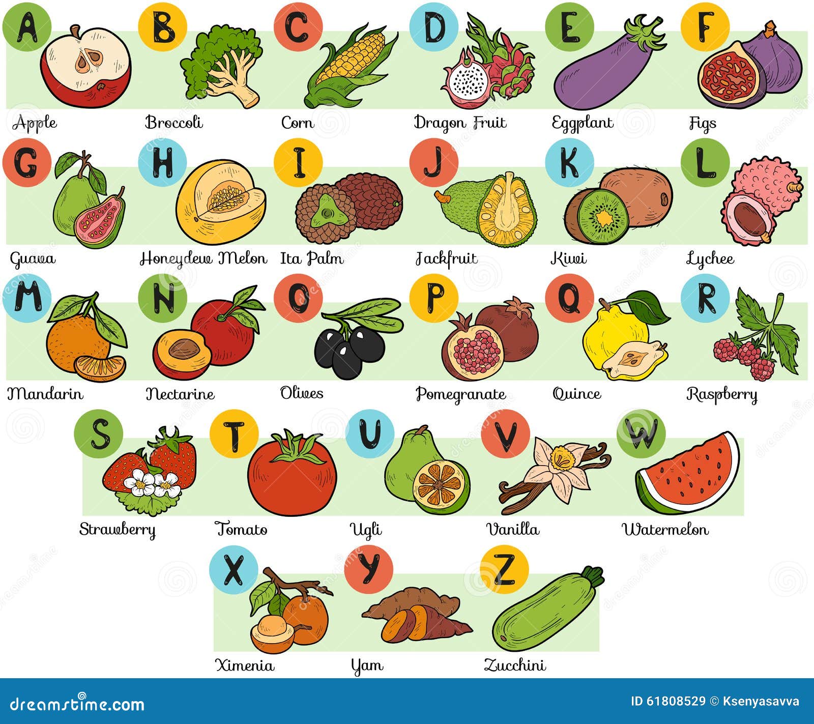 Alfabeto di colore per i bambini frutta e verdure Immagini Stock Libere da Diritti