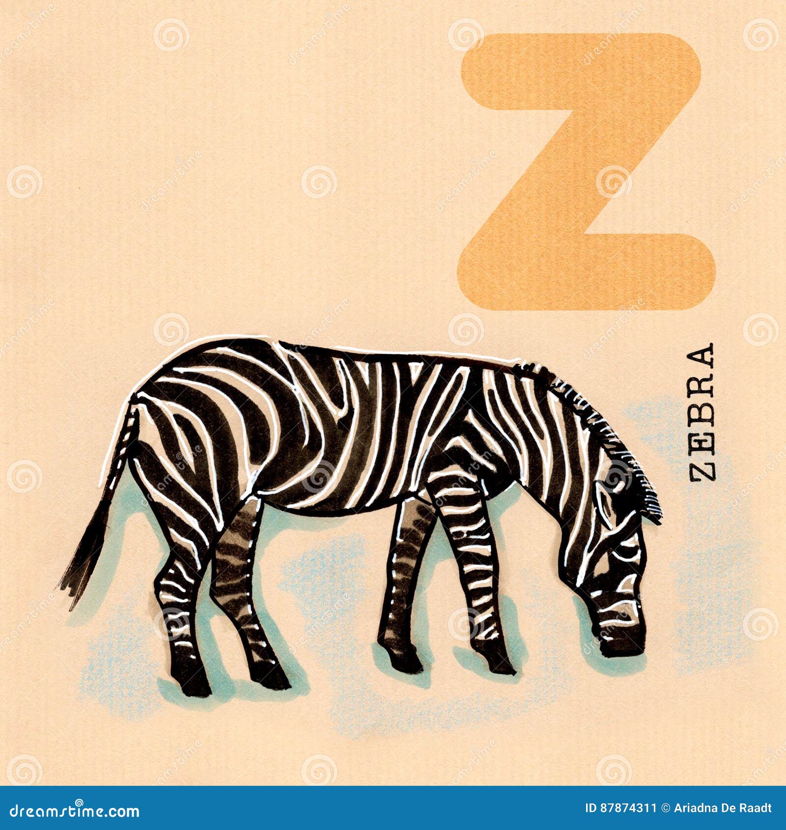 Alfabeto inglés, cebra stock de ilustración. Ilustración de inglés 87874311