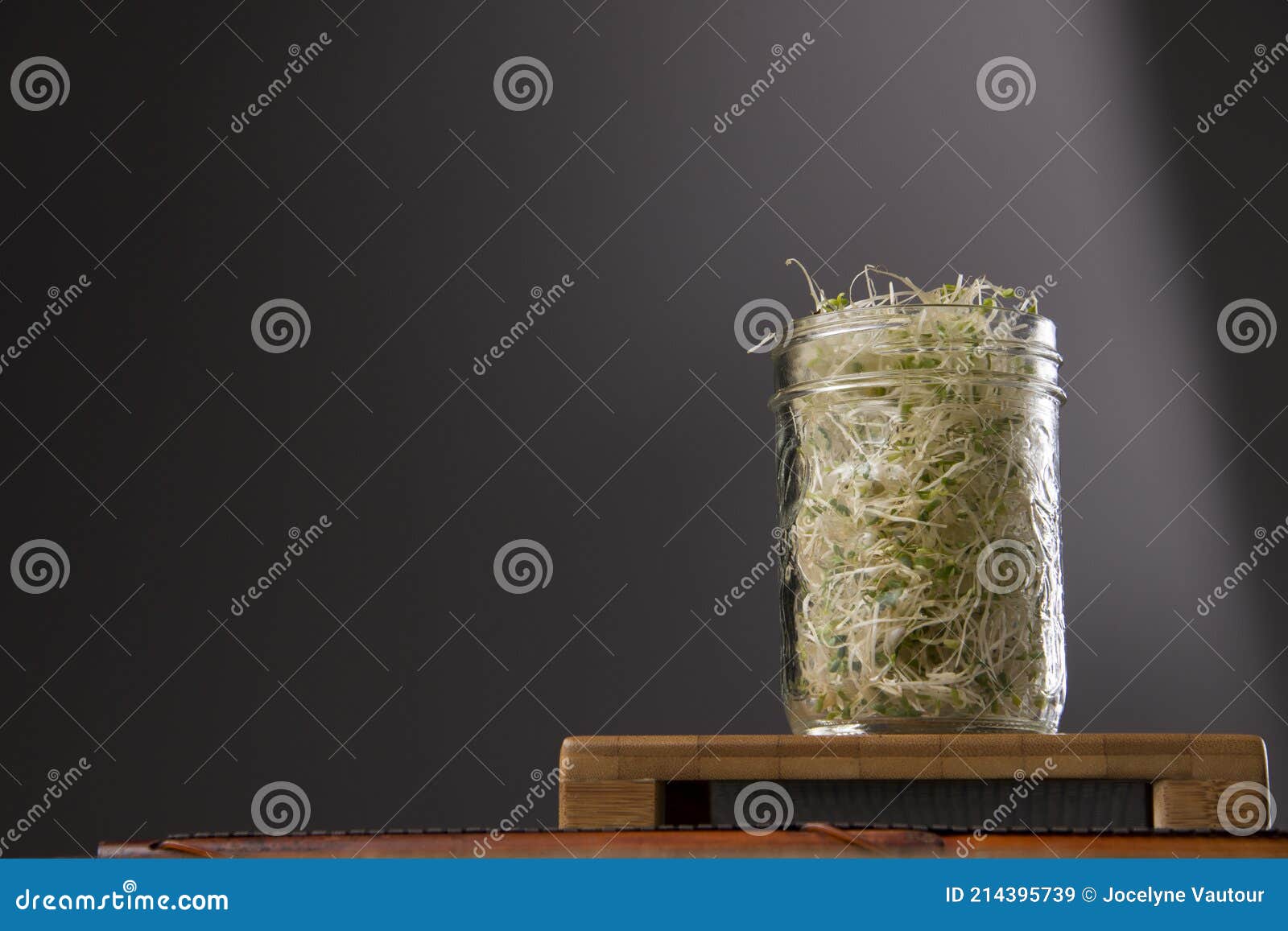 Alfalfa Sprout in Mason Jar Stock Image Image of grey, grain 214395739