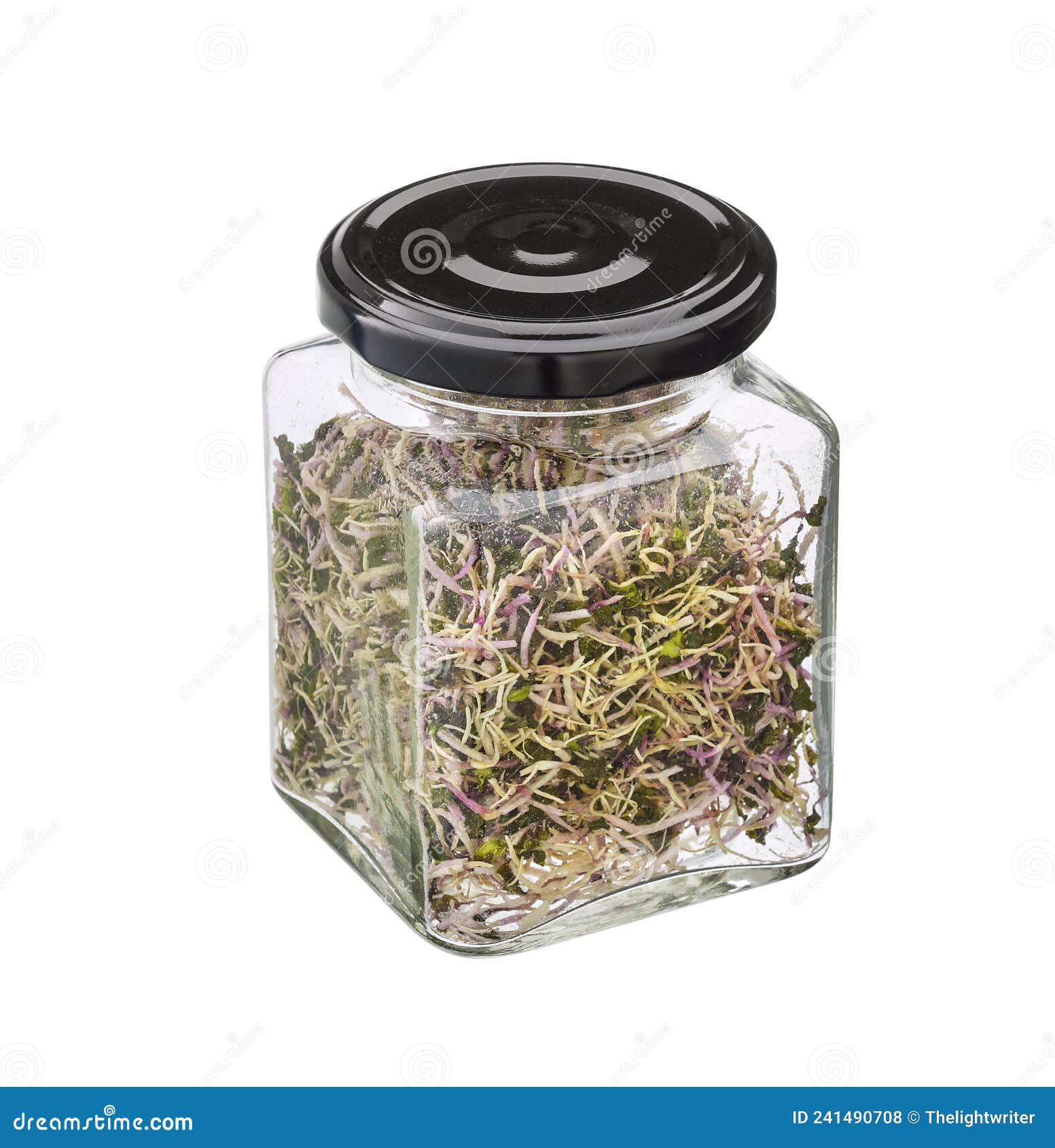 Alfalfa Sprout Vegetable in a Glass Jar Isolated Stock Photo Image of