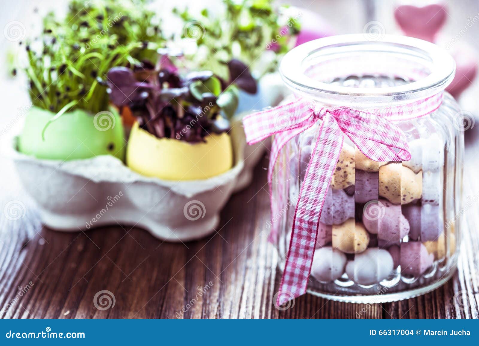 Alfalfa Sprouts in Easter Eggs Shell, from Above Stock Photo Image of