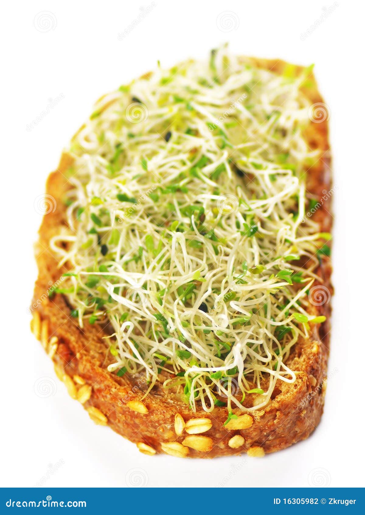Alfalfa Sprouts Sandwich Stock Photography Image 16305982