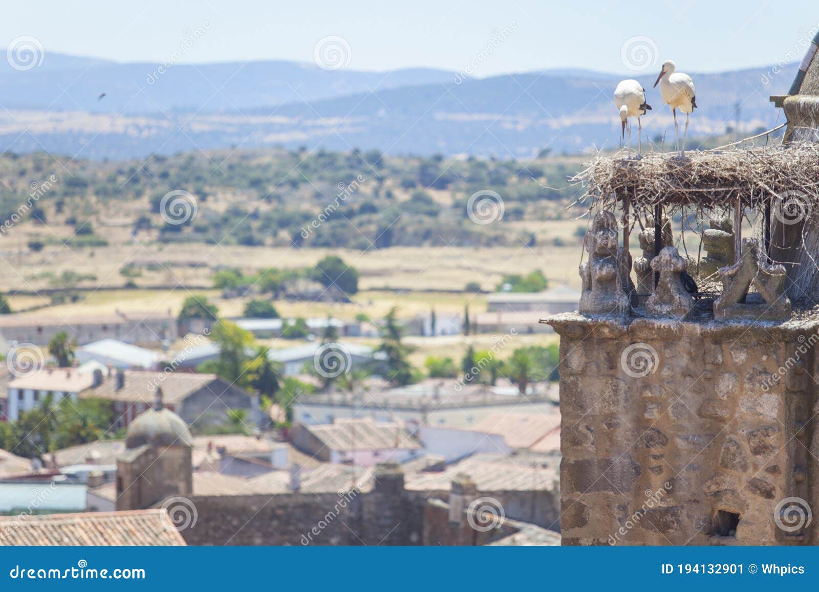 alfiler tower, gothic belfry adorned with glazed roof tiles, trujillo, spain