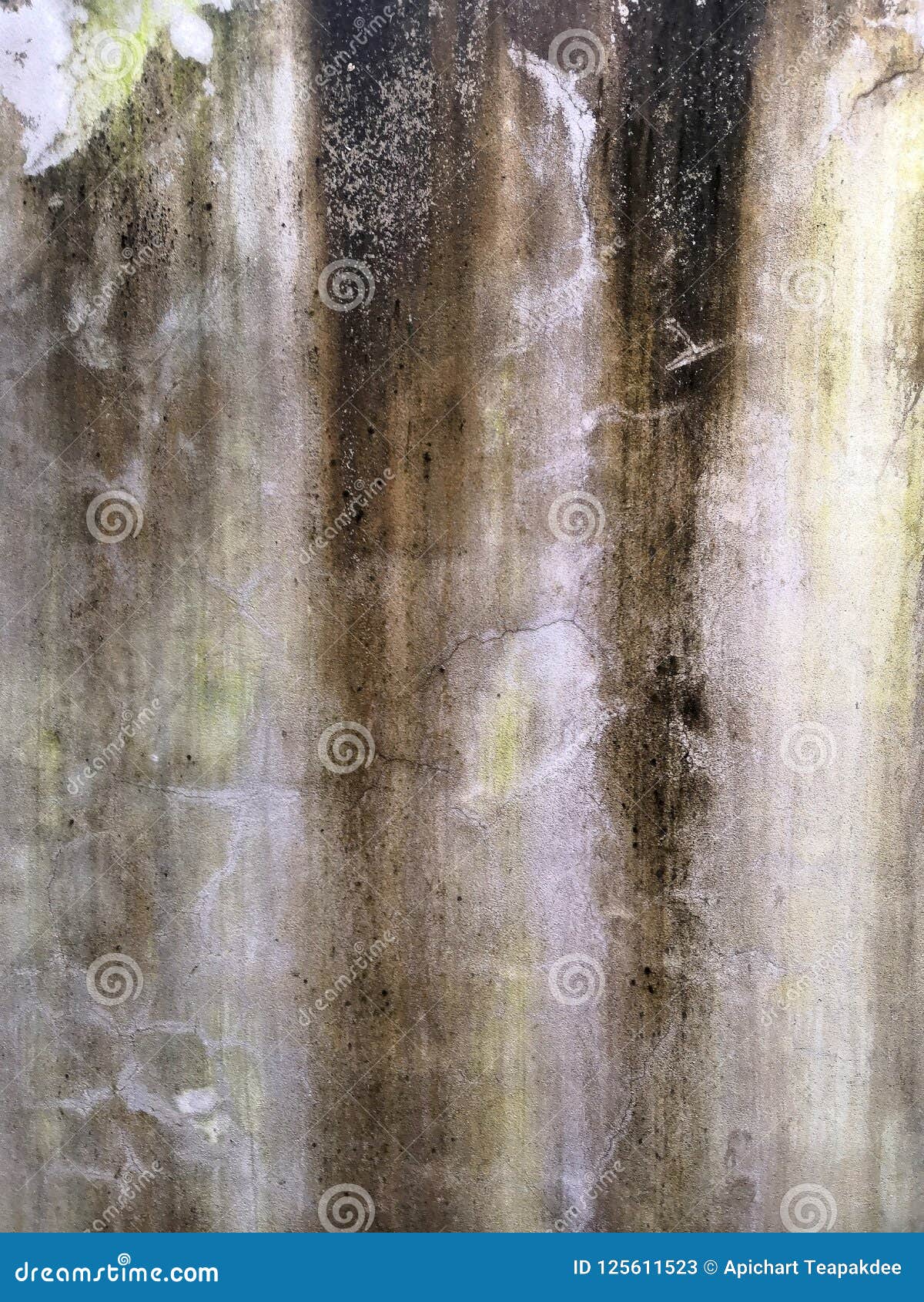 Algae on a cement wall stock image. Image of cement 125611523