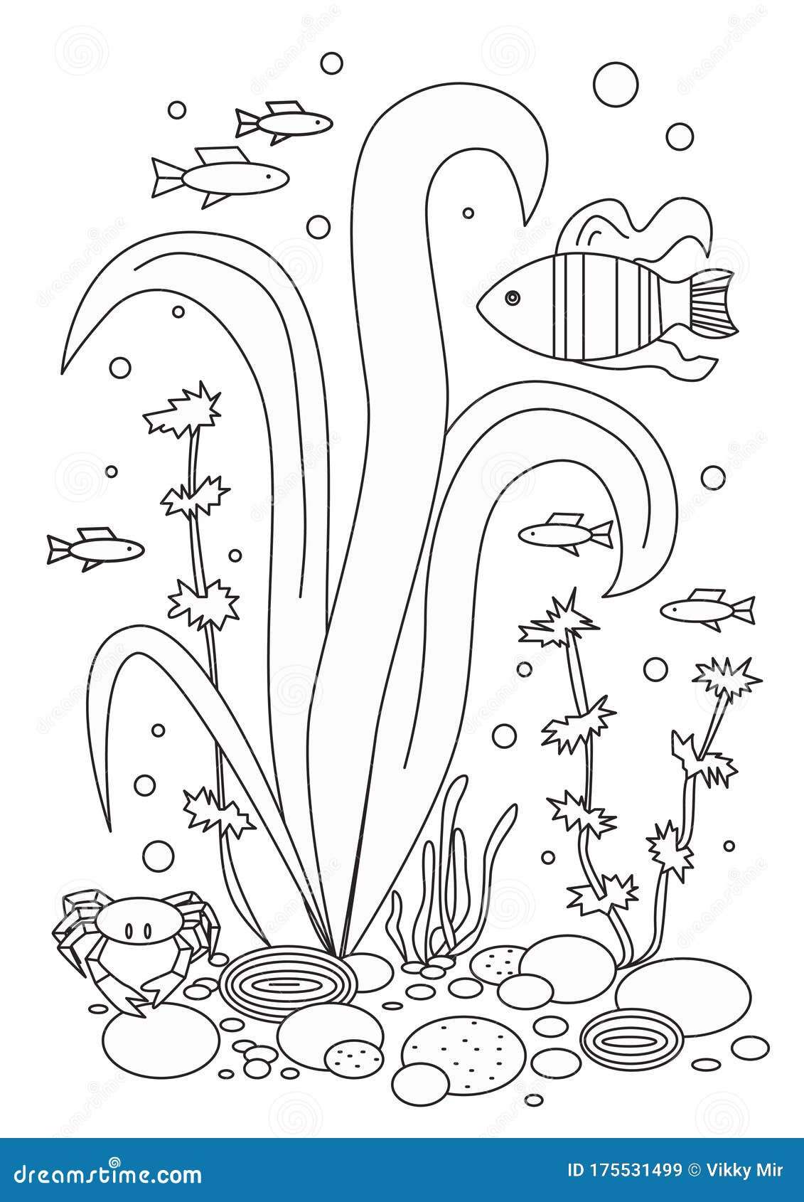 Algae, crab and fish on a white background as a coloring page, outline vector stock illustration with ocean or sea and animal in. Coloring page with seaweed, fish, crab isolated on white background for adults or children. Outline or linear A4 vector stock illustration for coloring and printing