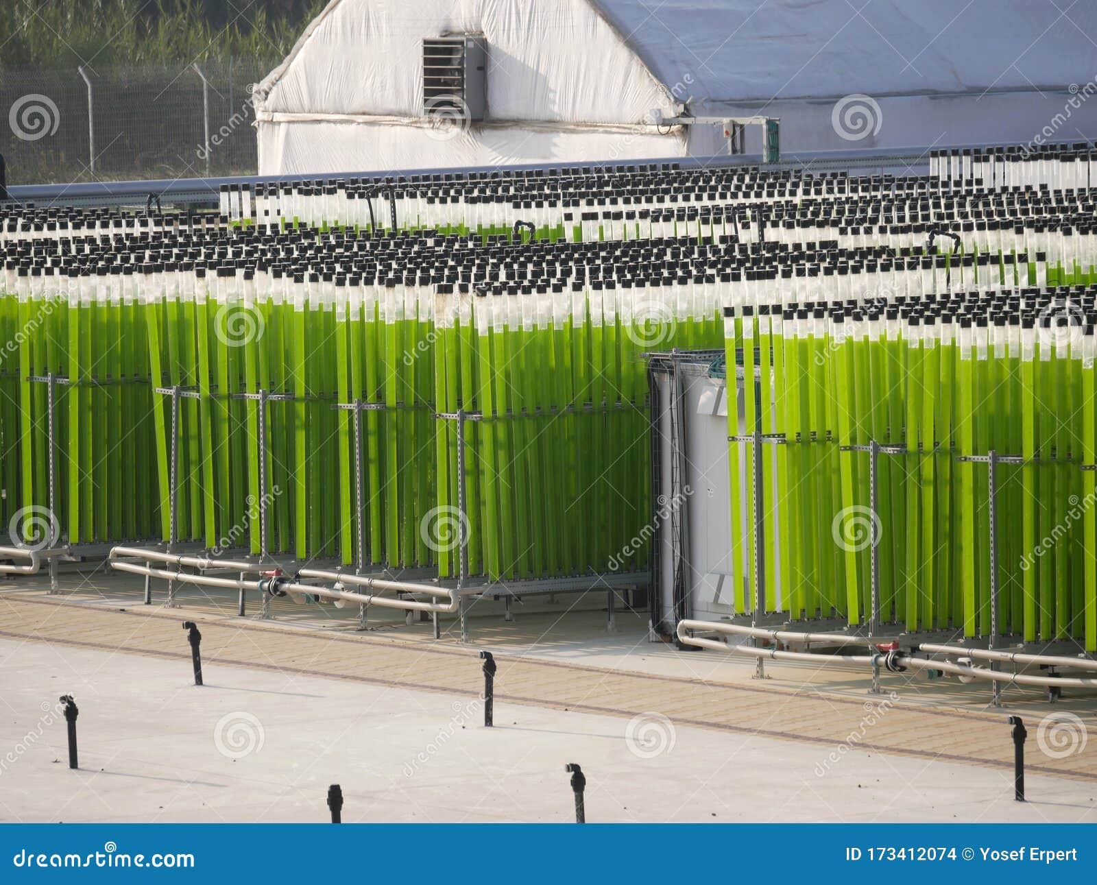 biodiesel production Arhive AgronoMag