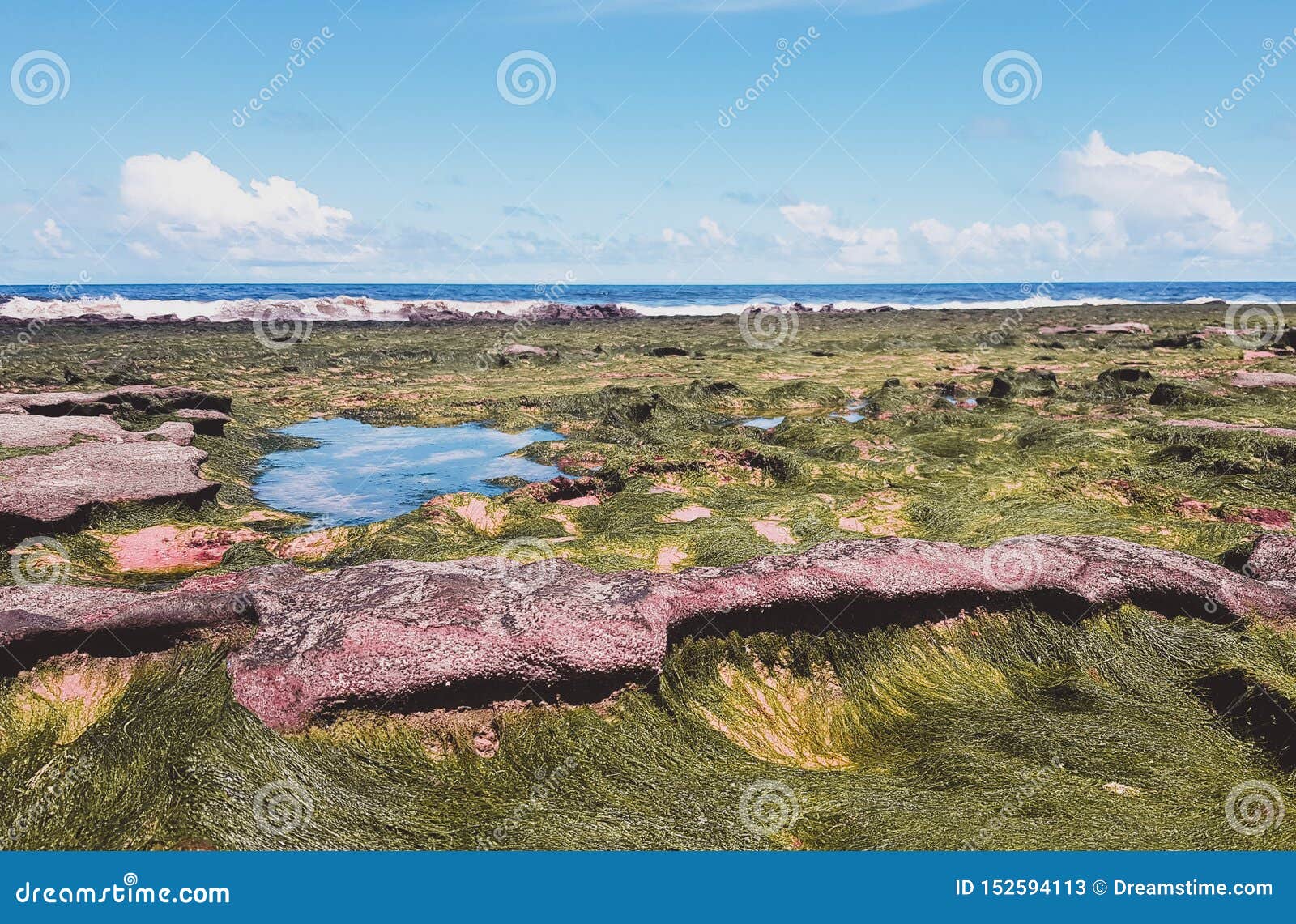 Alger med en varm och solig dag på Fortaleza Ceara Brasilien. Jag tog detta bilder på Fortaleza, Ceara - Brasilien Det är det blåa havet att du kan se, om du går där