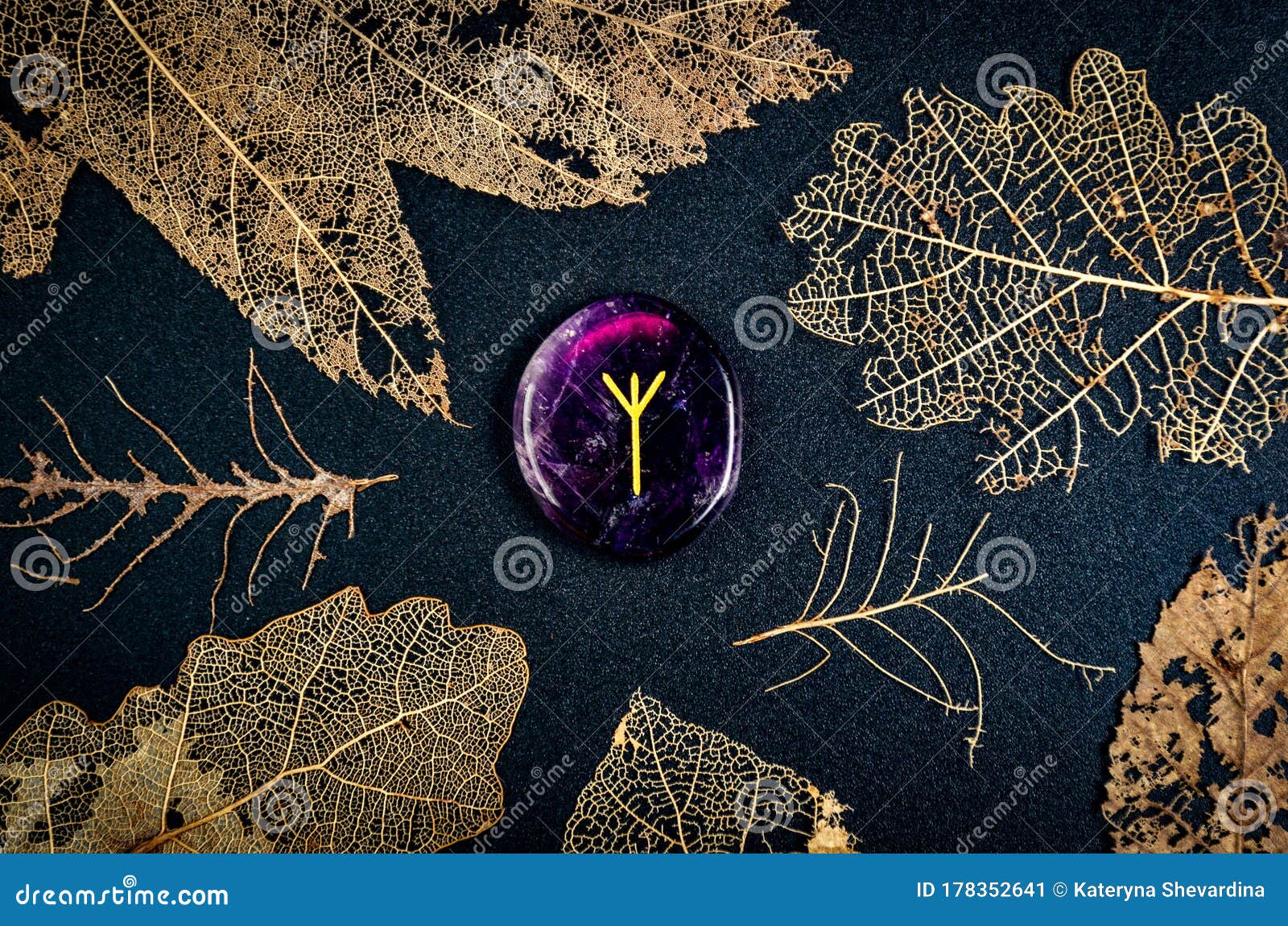 algiz rune, prediction of the day