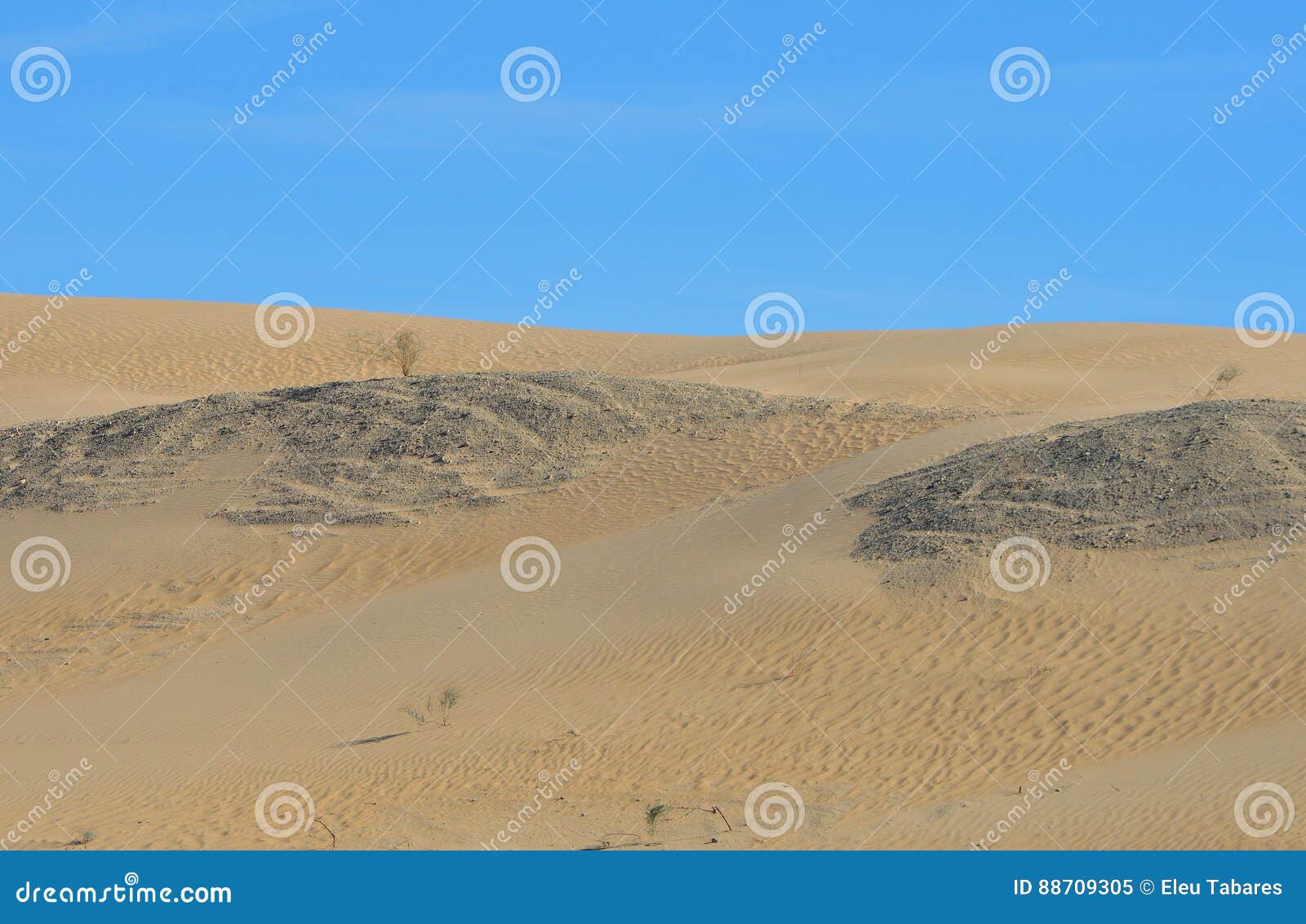 Algodones Sand Dunes stock image. Image of winterheaven 88709305