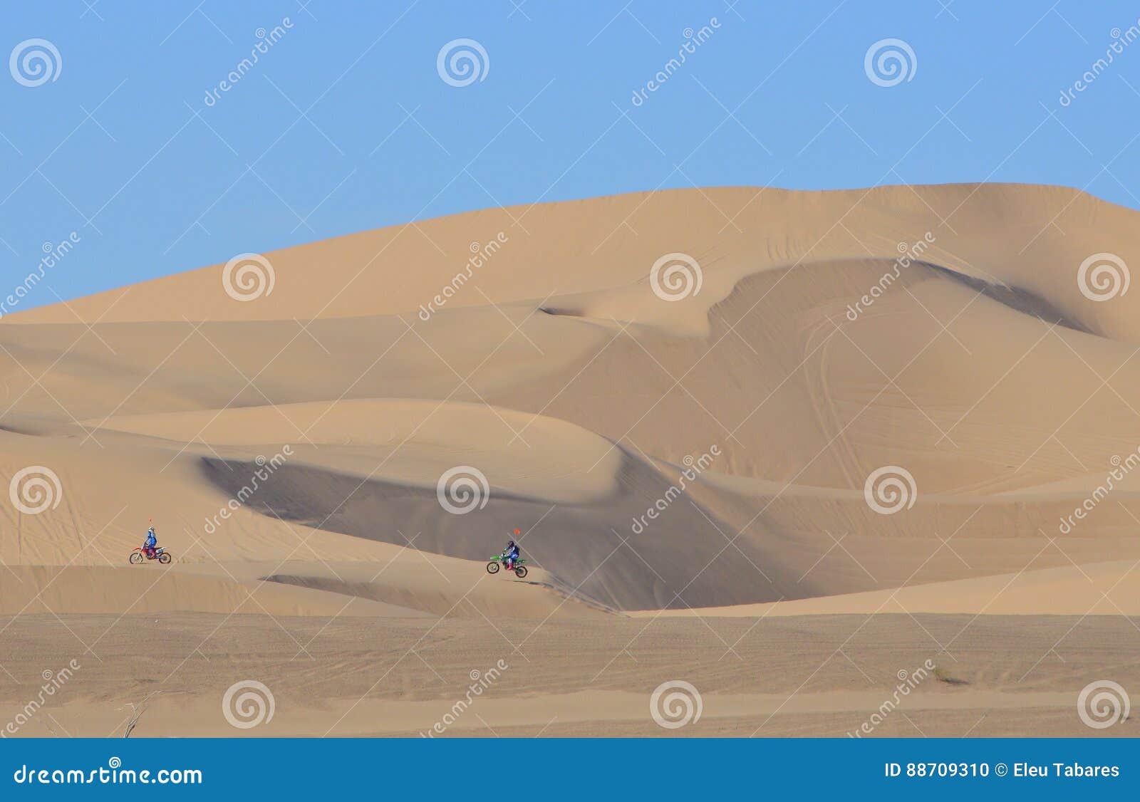 Algodones Sand Dunes stock photo. Image of winterheaven 88709310