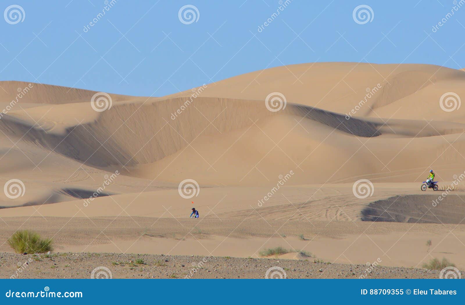Algodones Sand Dunes stock image. Image of wadi, ecoregion 88709355