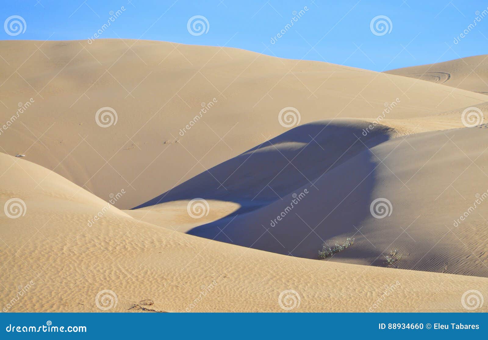 Algodones Sand Dunes stock photo. Image of hiking, landscape 88934660