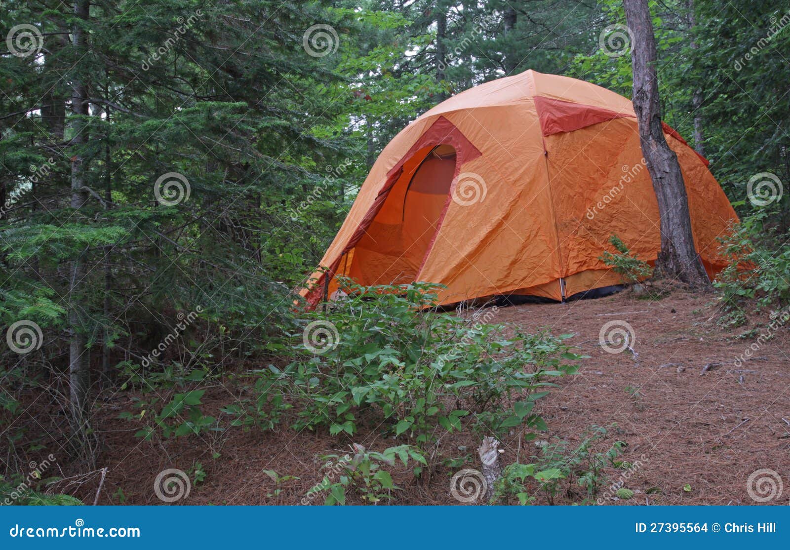 Algonquin Orange Tent stock photo. Image of forest, camping 27395564